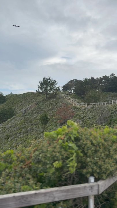 Muir Beach Overlook - Parks Near Me - Muir Beach, California