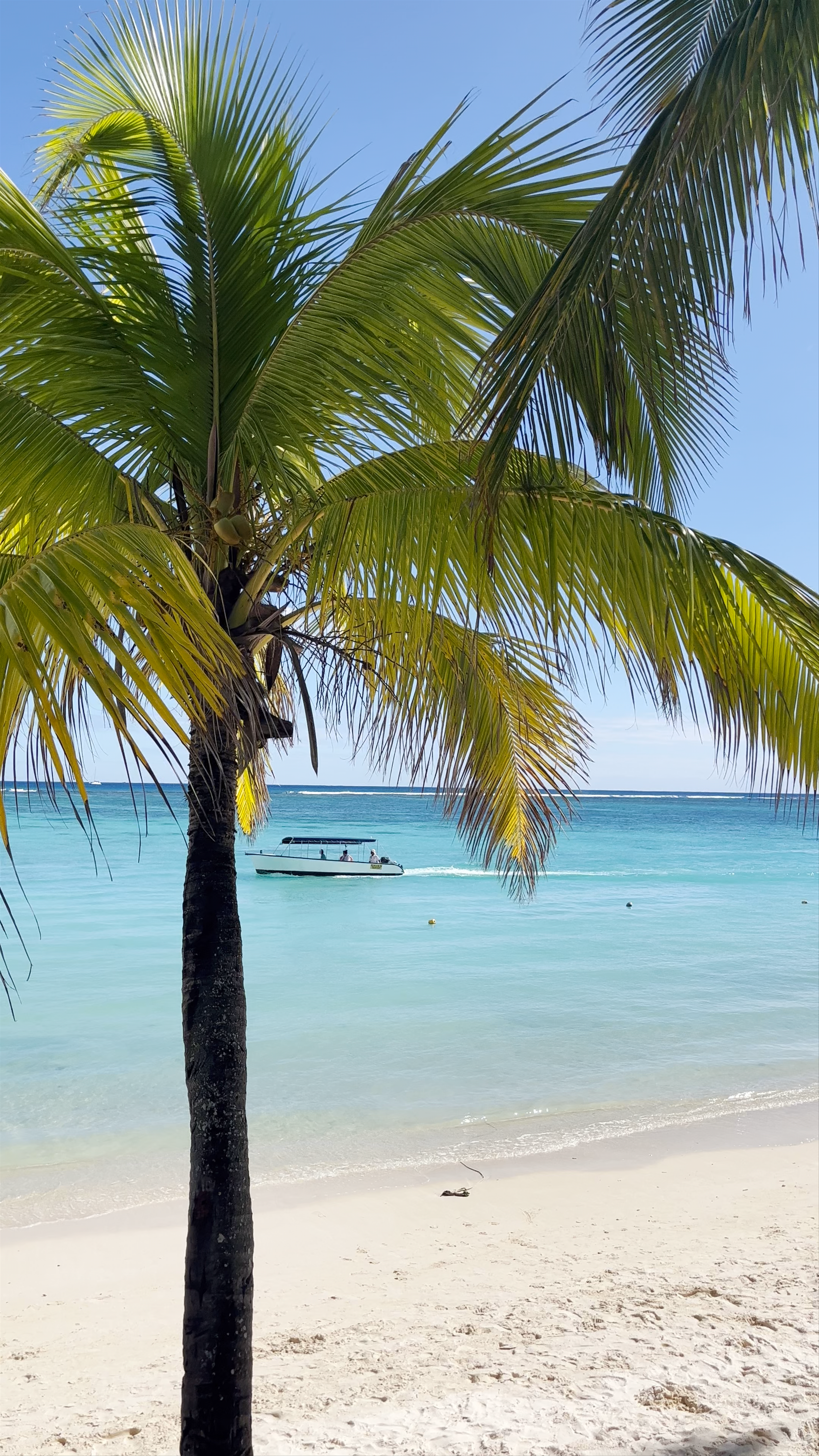 Trou aux Biches Beachcomber Golf Resort & Spa