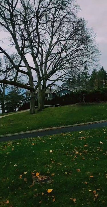 Harry Todd Park - Parks Near Me - Lakewood, Washington