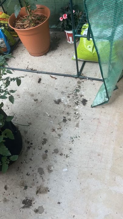 One Ten Grant - All the bird shit 1 day after mopping/scrubbing my entire balcony - Apartments Near Me - Minneapolis, Minnesota