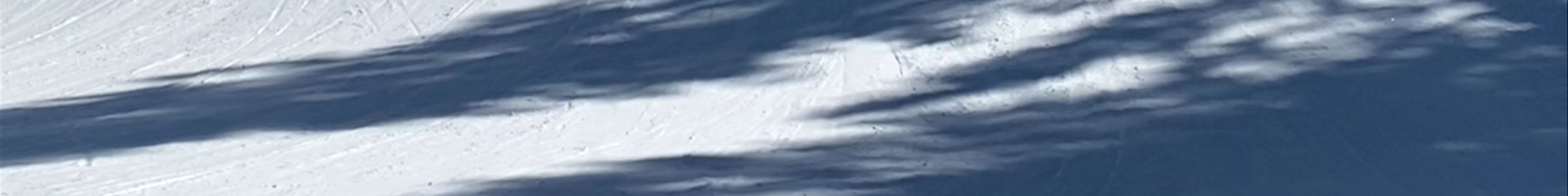 Tours & experiences in Invermere