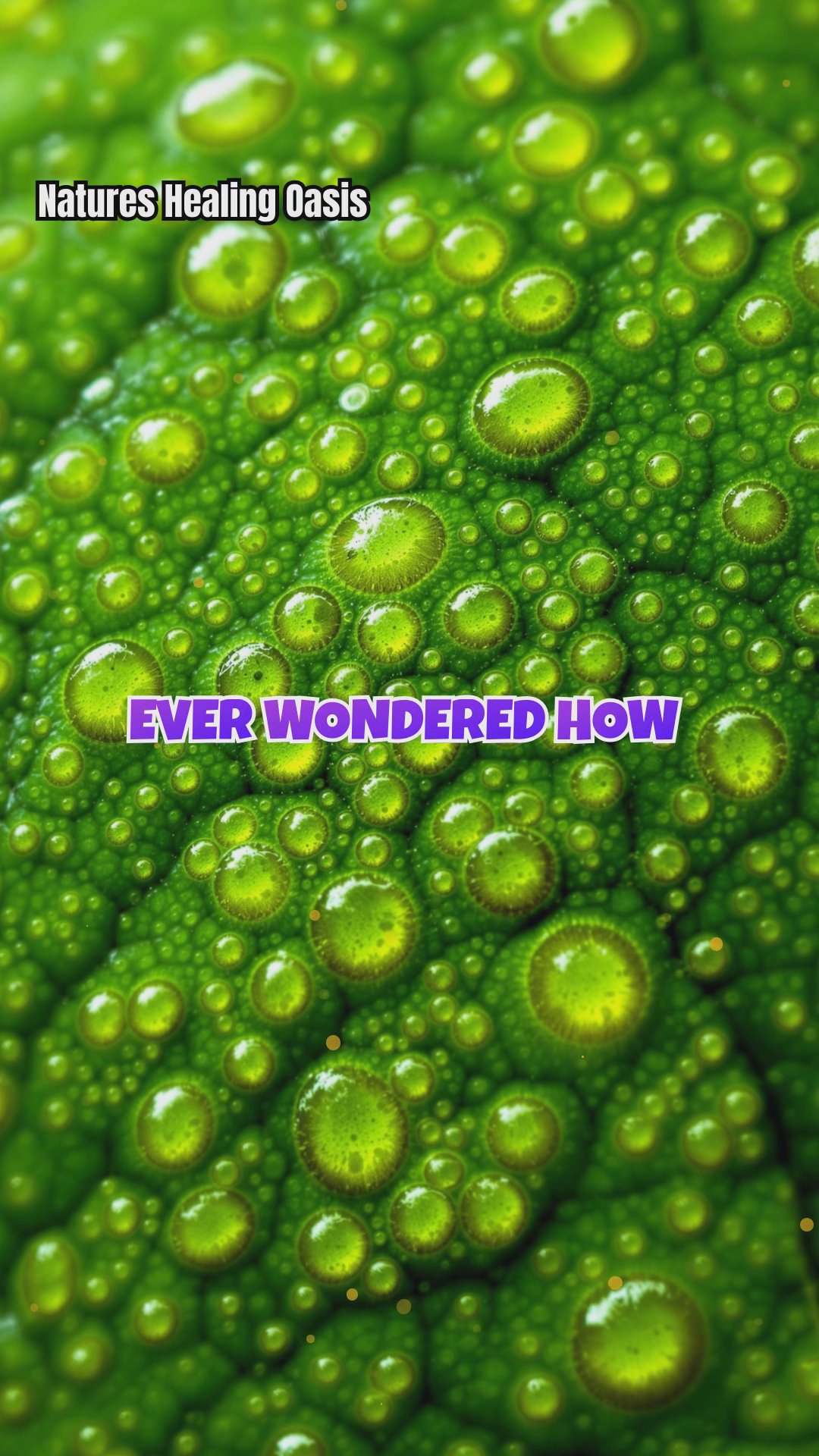 Tree Leaf Stomata vs. Human Alveoli: Nature’s Exchange Experts