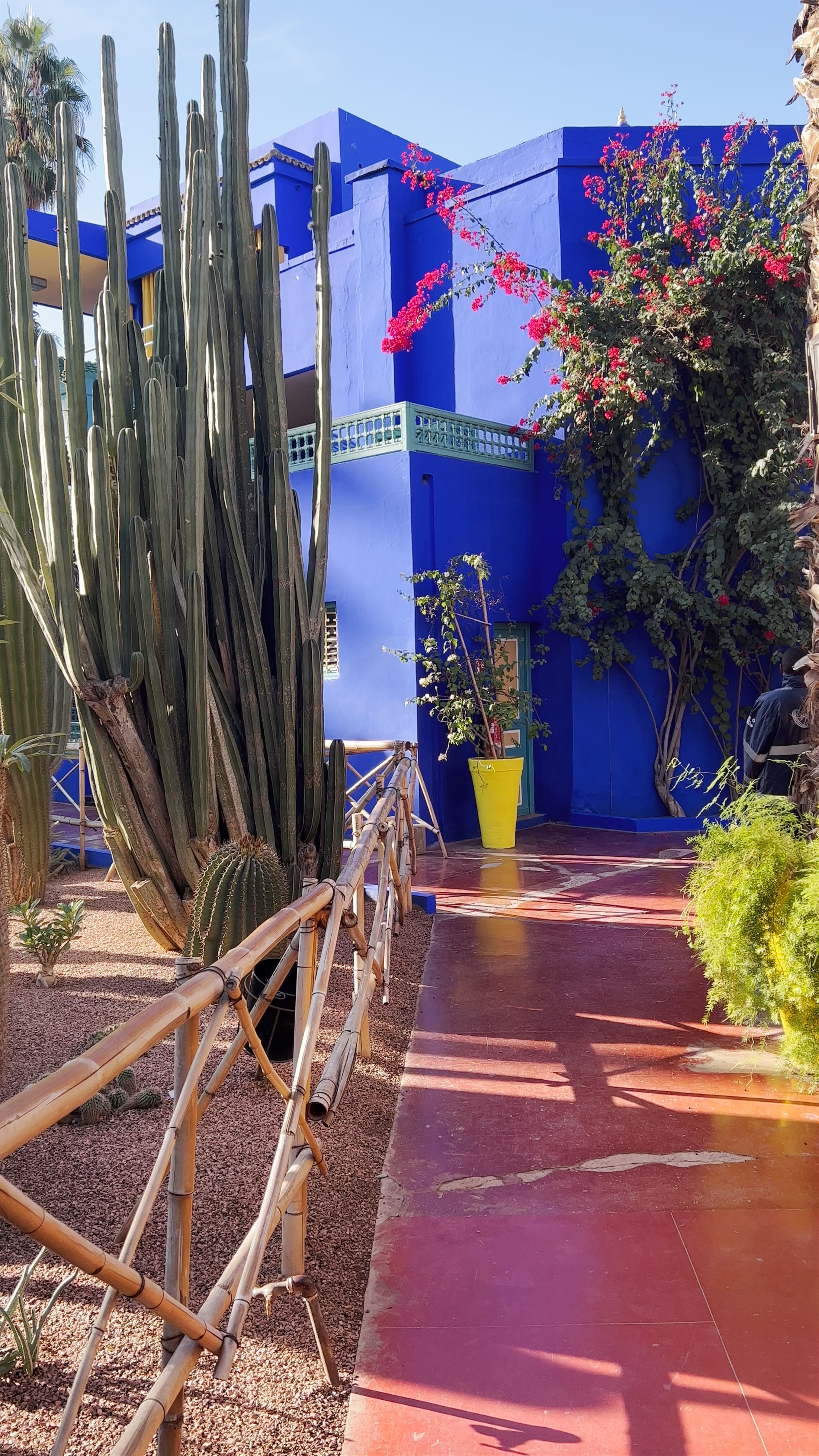 Jardin Majorelle