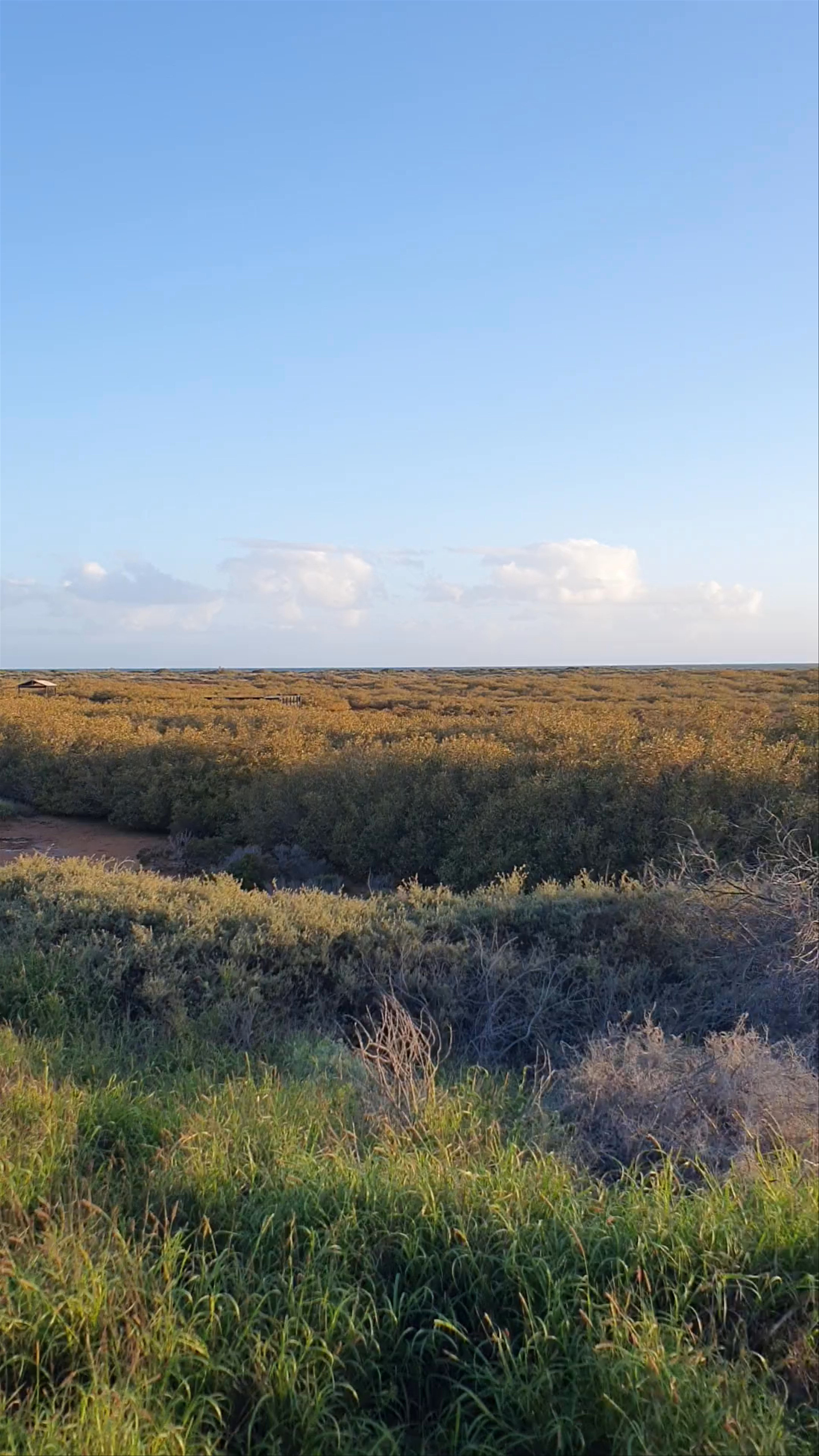 One Mile Jetty Museum