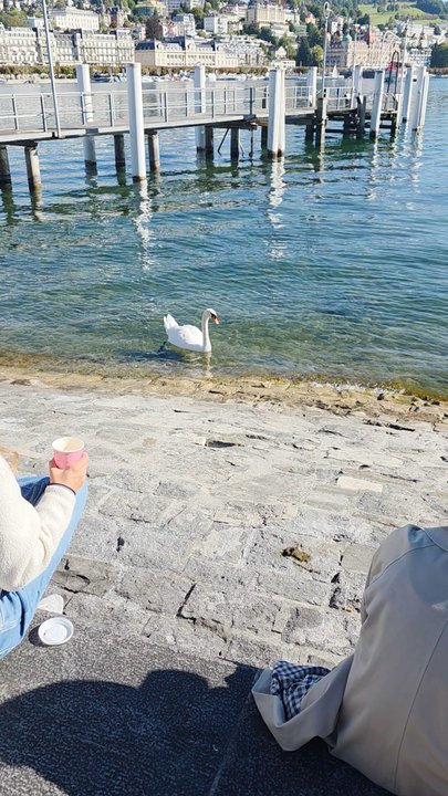 Europaplatz - A relaxing & beautiful day at Europaplatz - Landmarks & Historical Buildings Near Me - Luzern, LU
