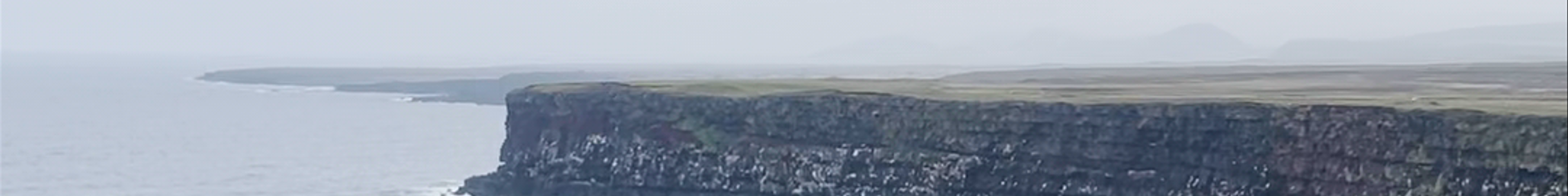 Tours & experiences in Kópavogur