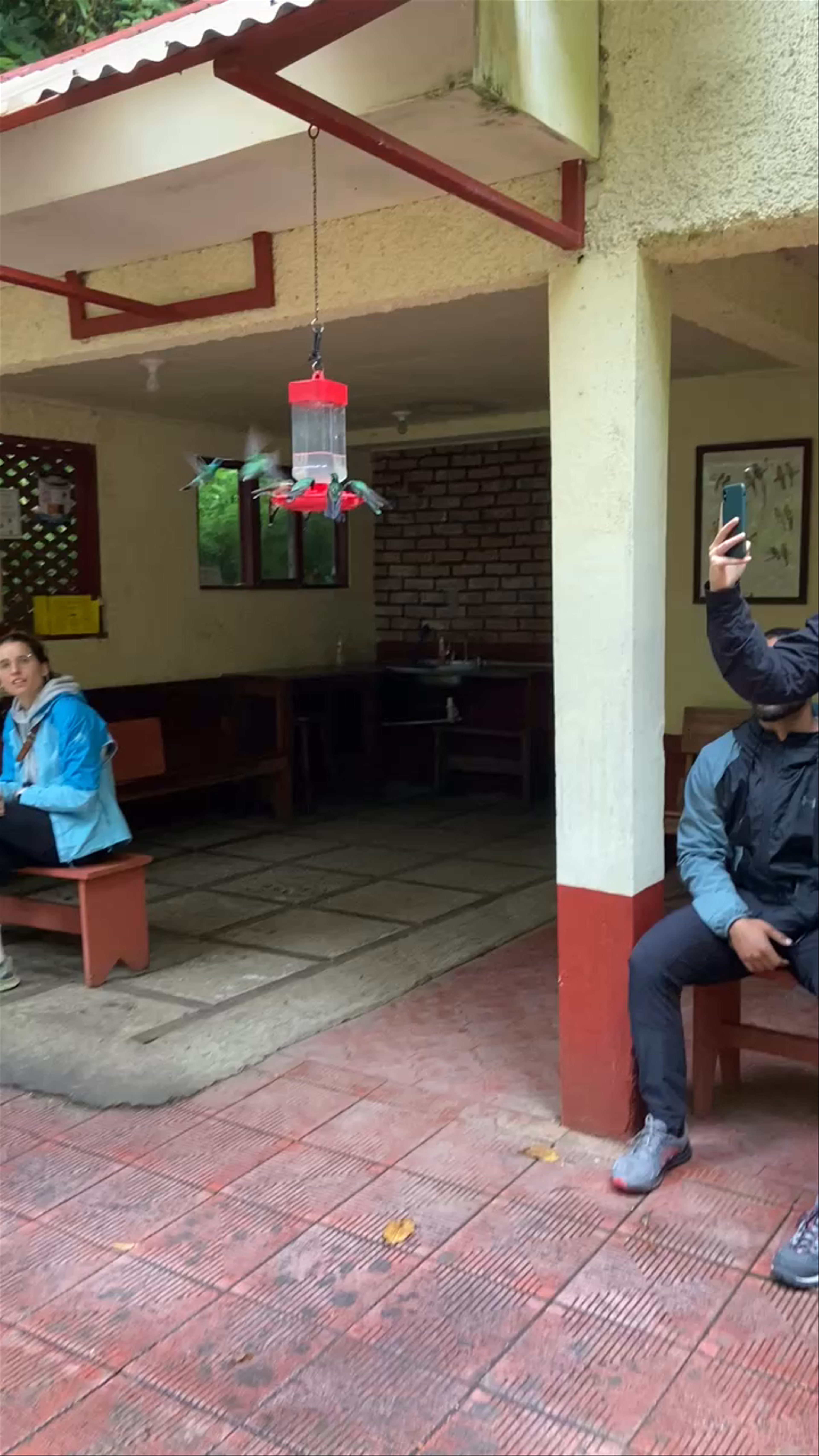 Monteverde Cloud Forest Biological Preserve