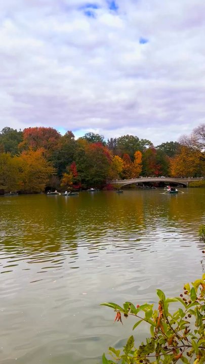 Bow Bridge - Nothing better than Central Park in the fall - Landmarks & Historical Buildings Near Me - New York, New York