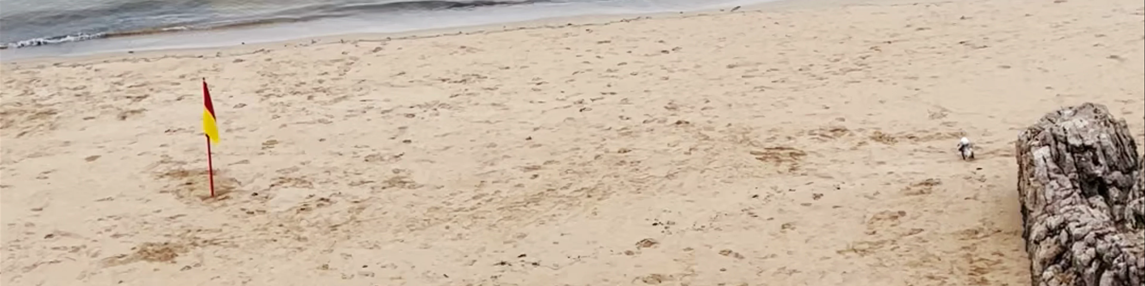 Praia da Rainha