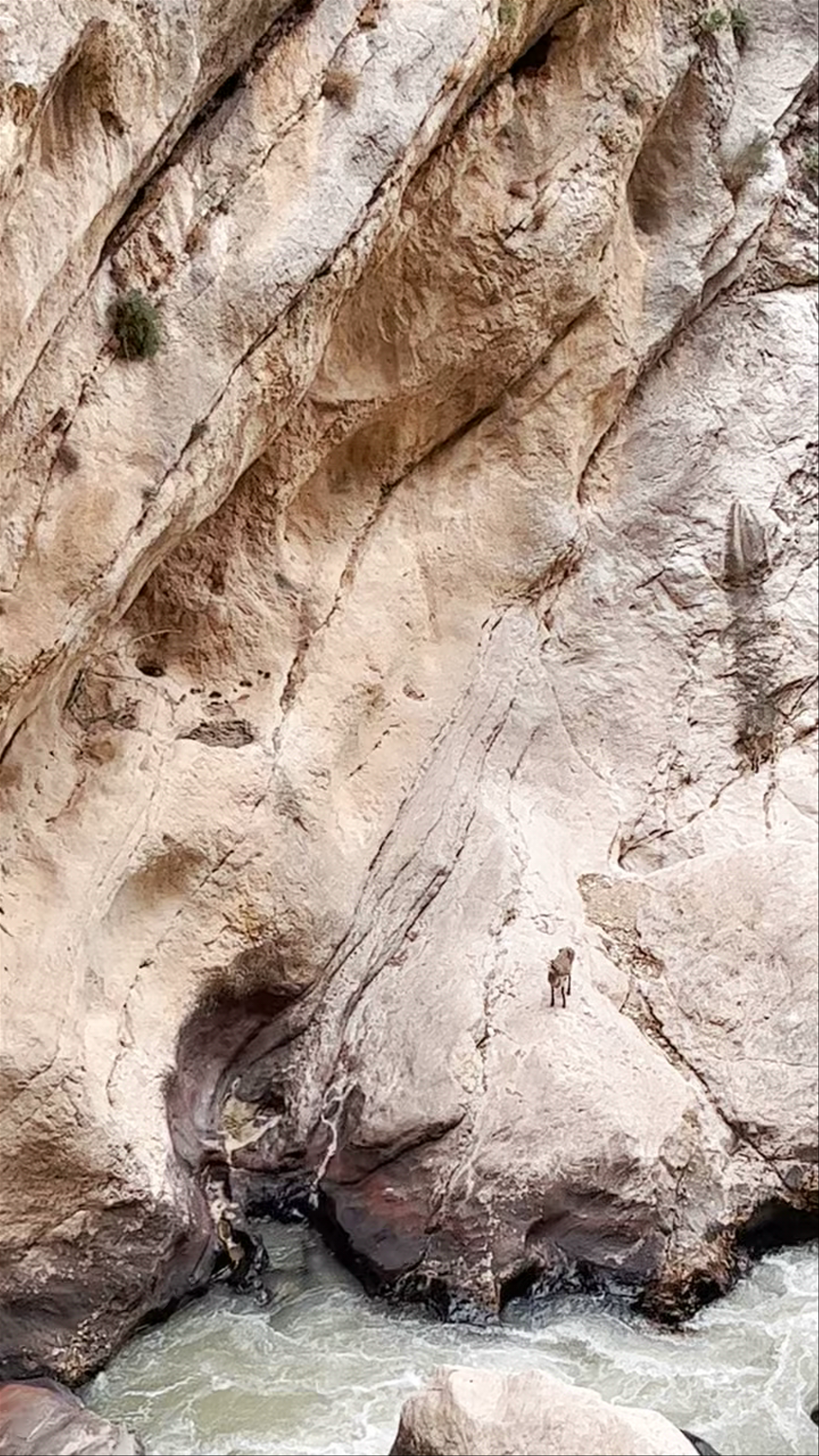 Caminito del rey