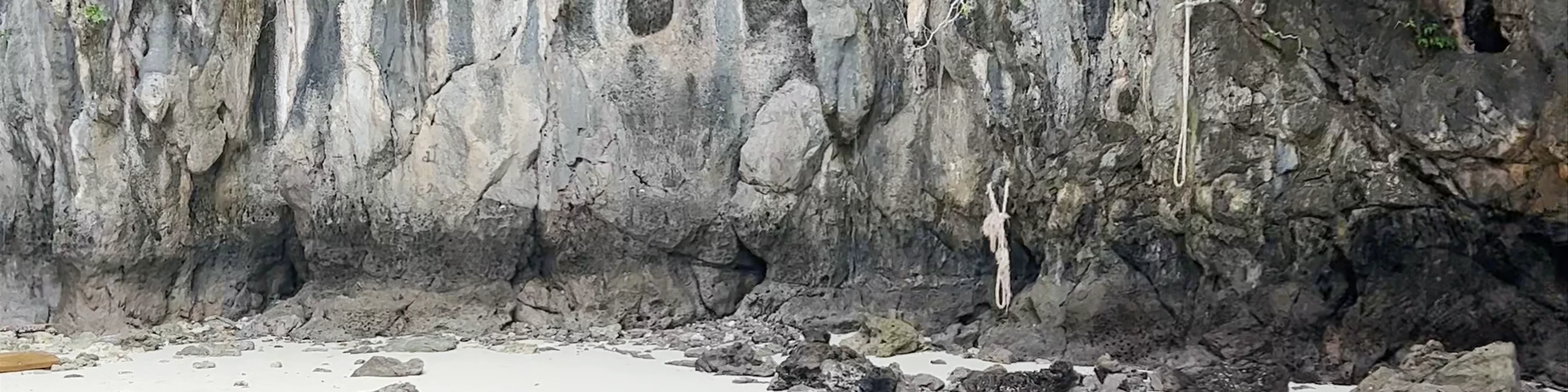 Monkey Bay