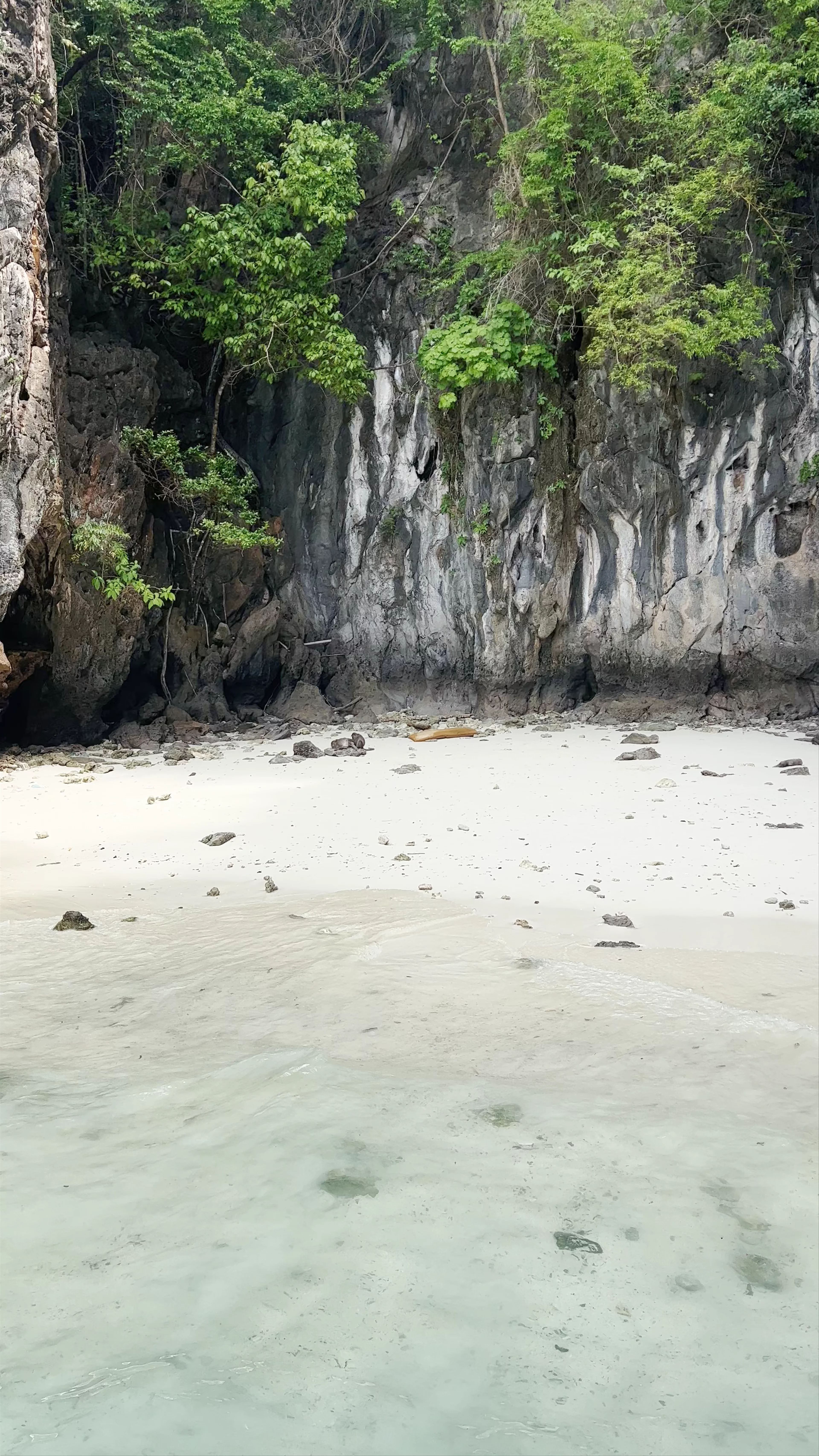 Monkey Bay