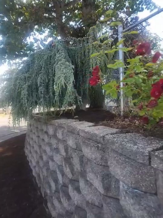 Lumin Landscape - Clean lines, fresh mulch, and timeless curb appeal -- a corner lot transformation by Lumin Landscaping. - Landscaping Near Me