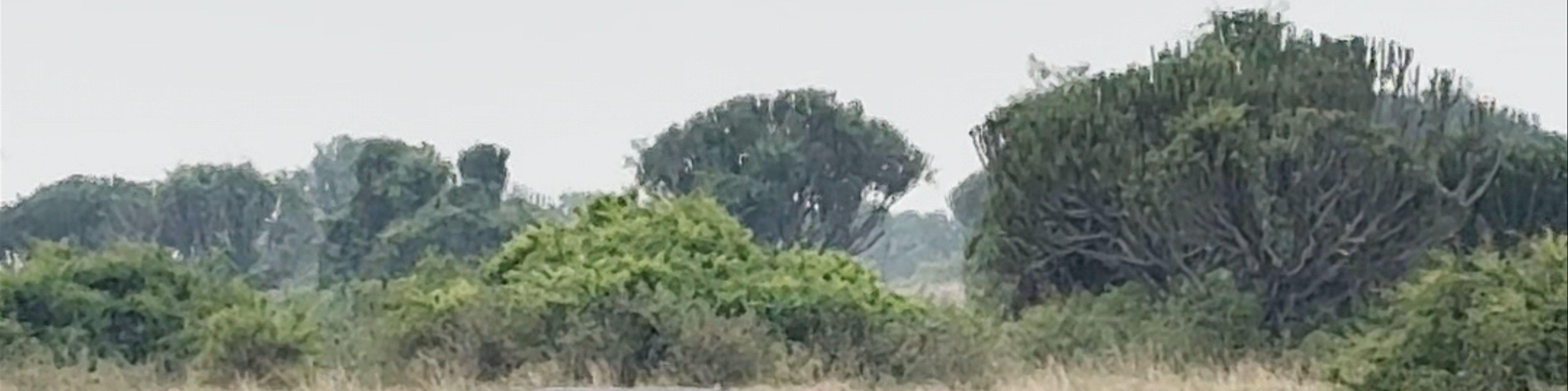 Ishaka
