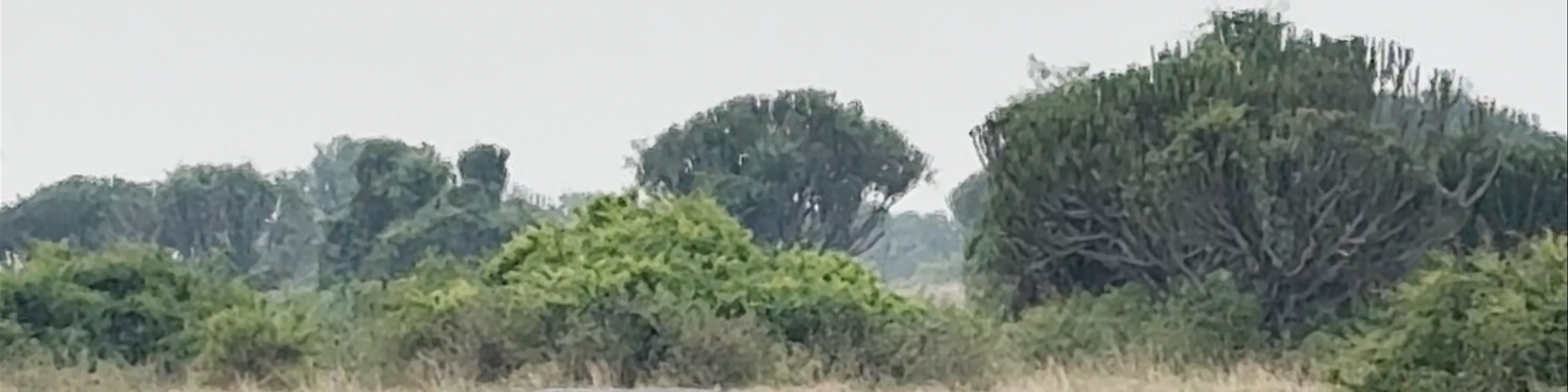 Queen Elizabeth National Park