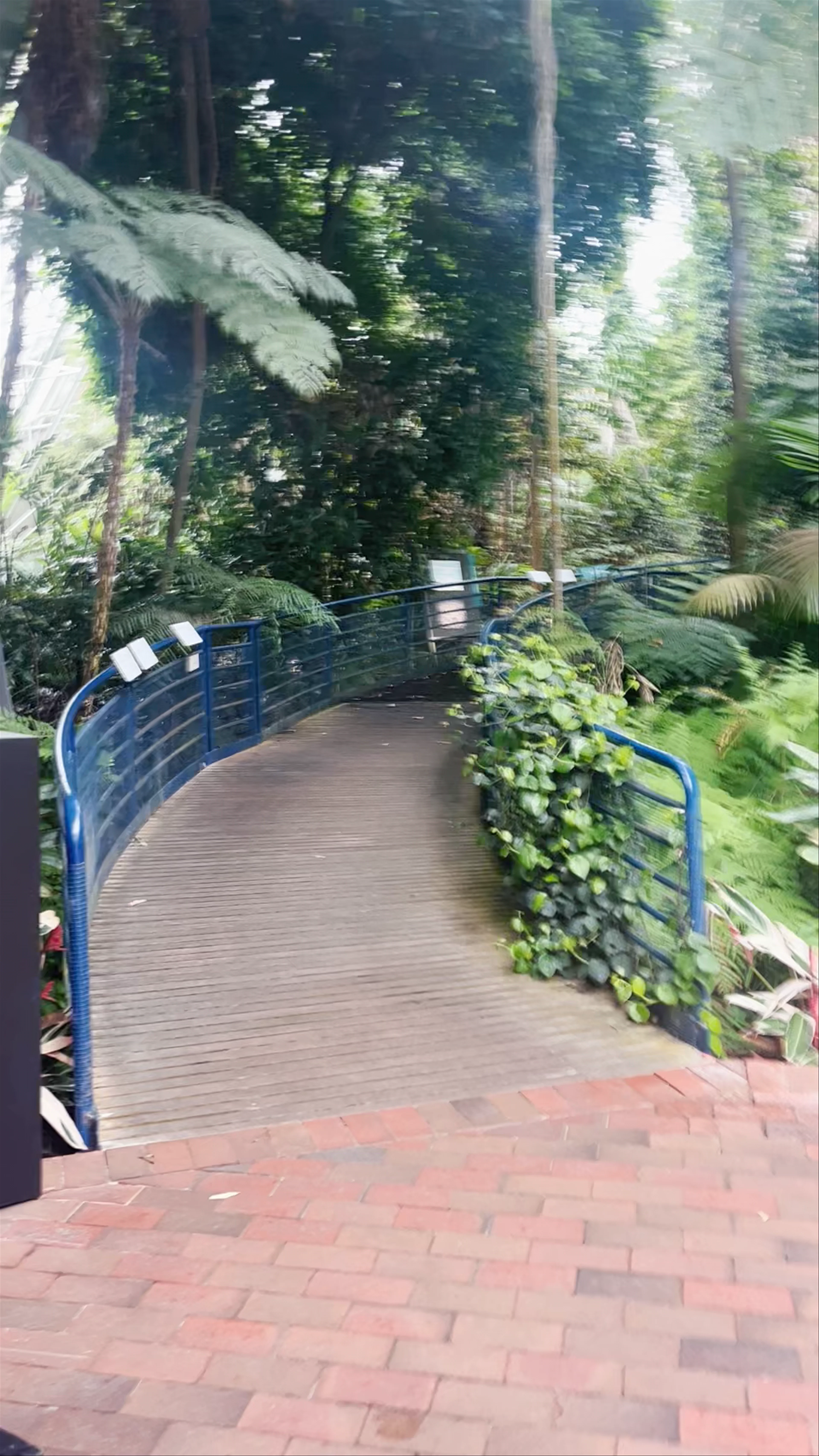 Bicentennial Conservatory