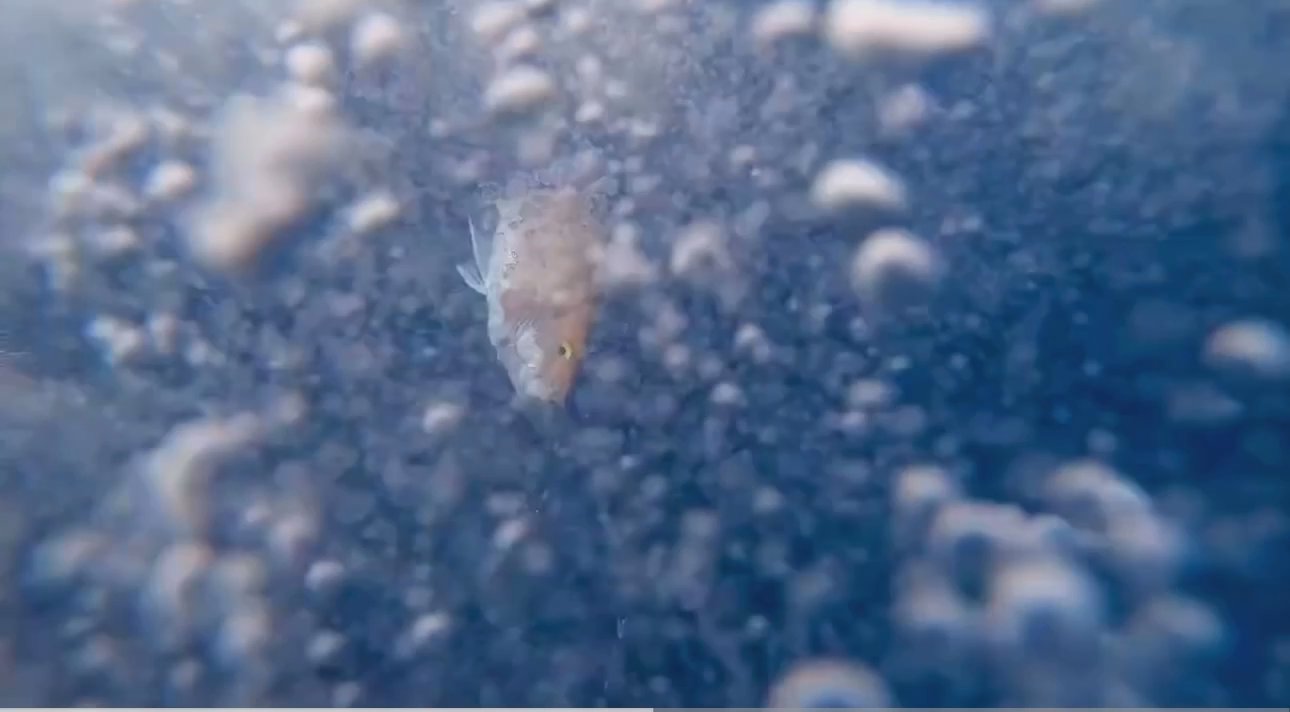 The “Margaritavich”—a 42-foot express walkaround s...