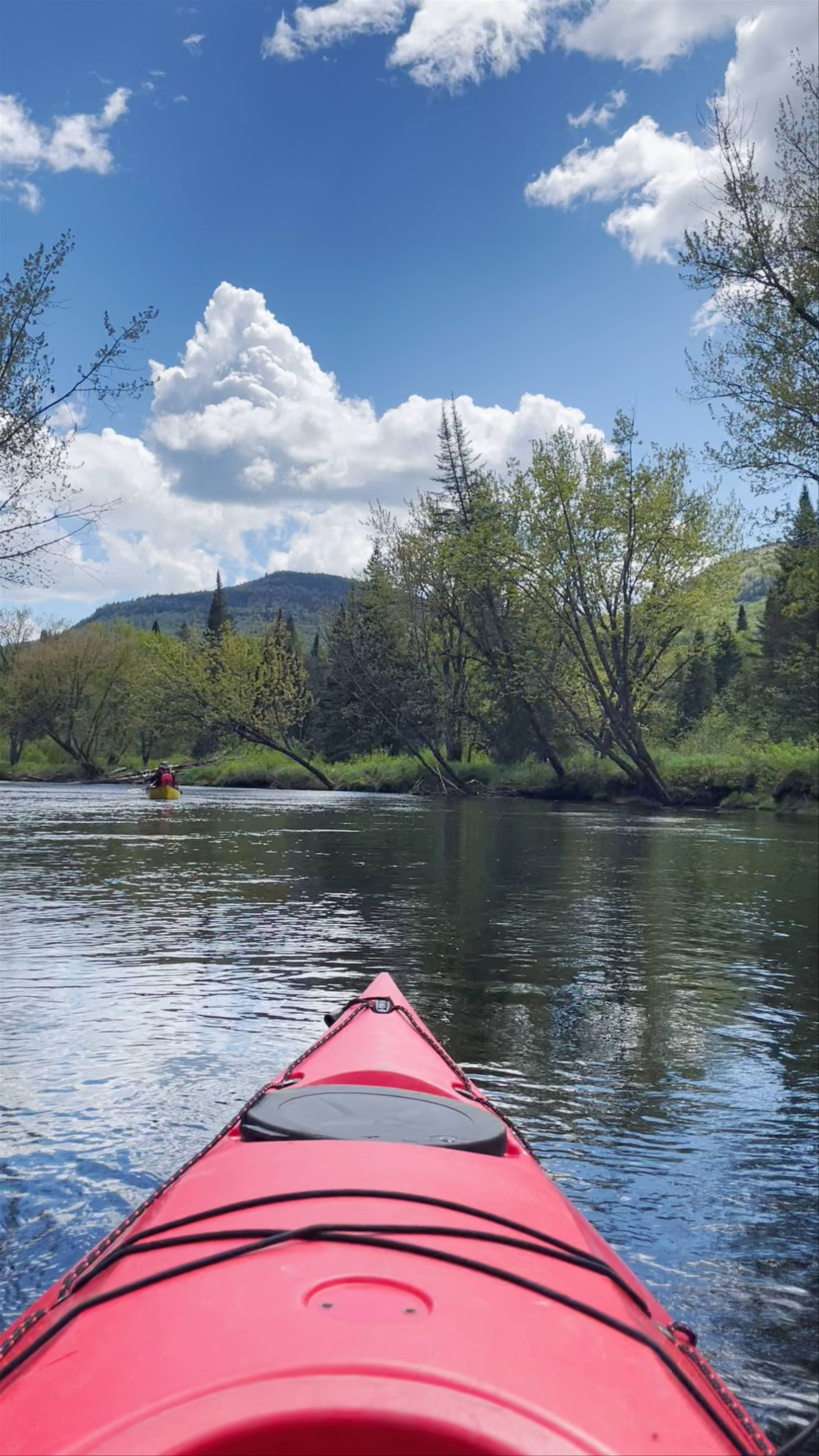 Kayaking the Serene Rivière du Diable in Les Laurentides, Quebec