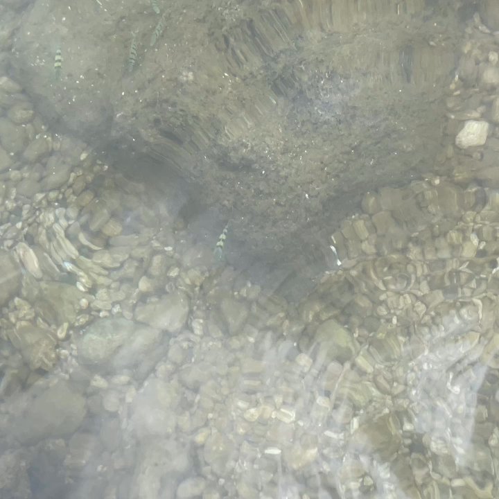 Video thumbnail 2 more videos