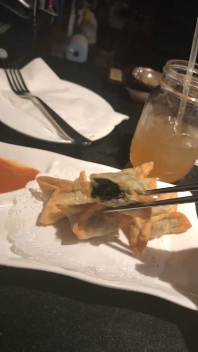 Luanne's Wild Ginger Franklin - Stuffed Fried Wontons - Pan Asian Near Me - Brooklyn, New York