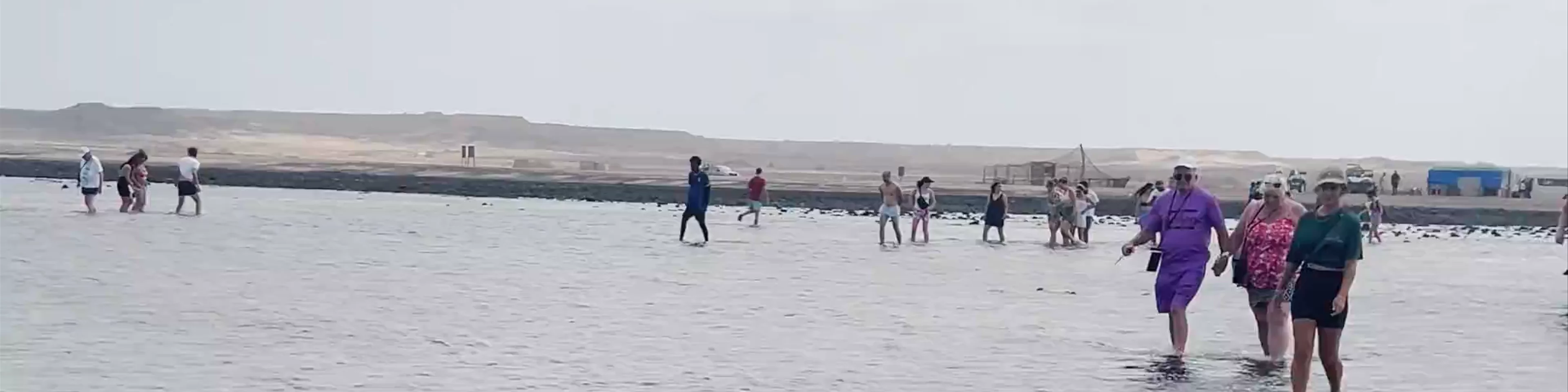 Shark Bay