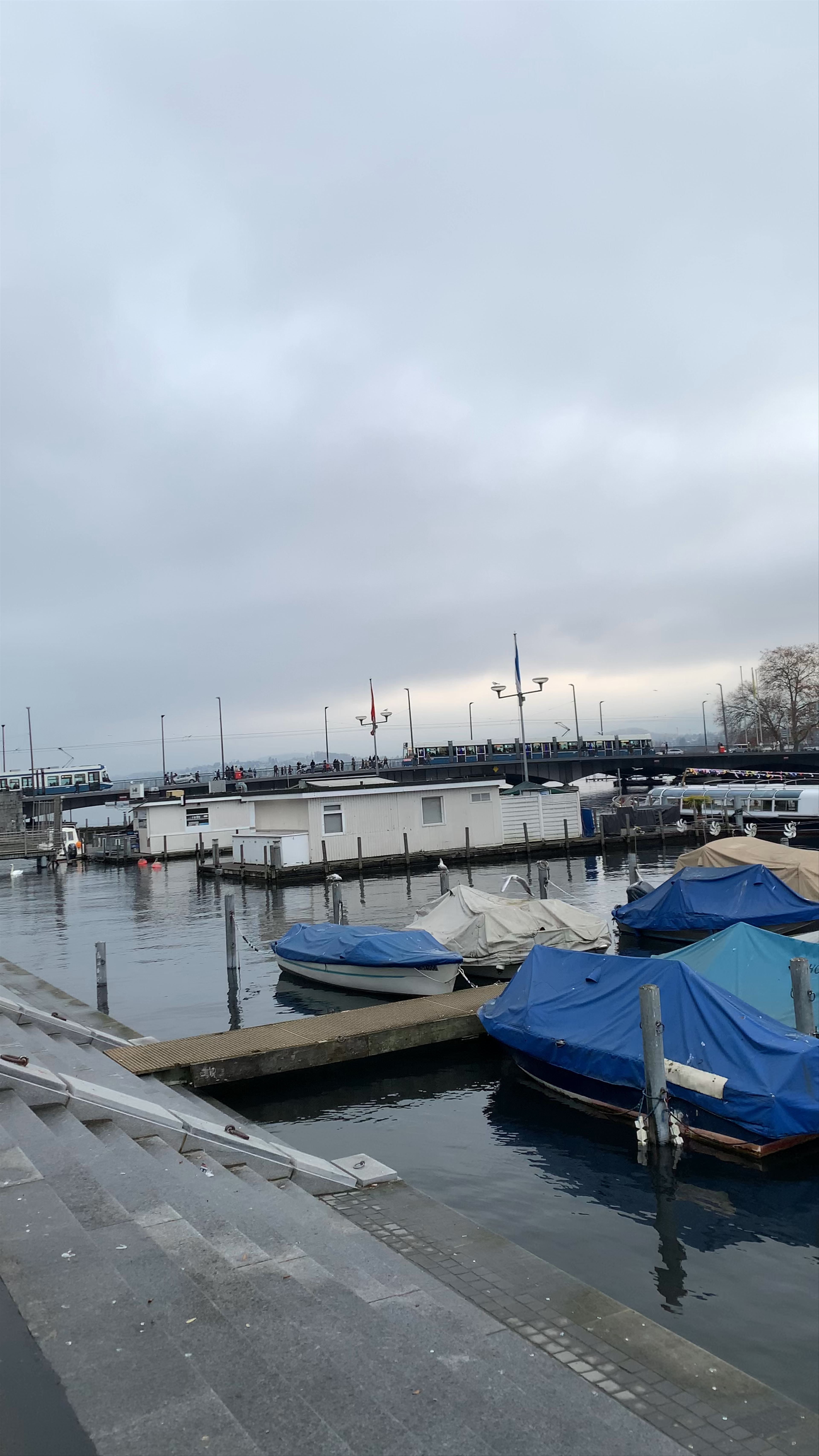 Serene Winter Harbor View at Bellevue, Zürich
