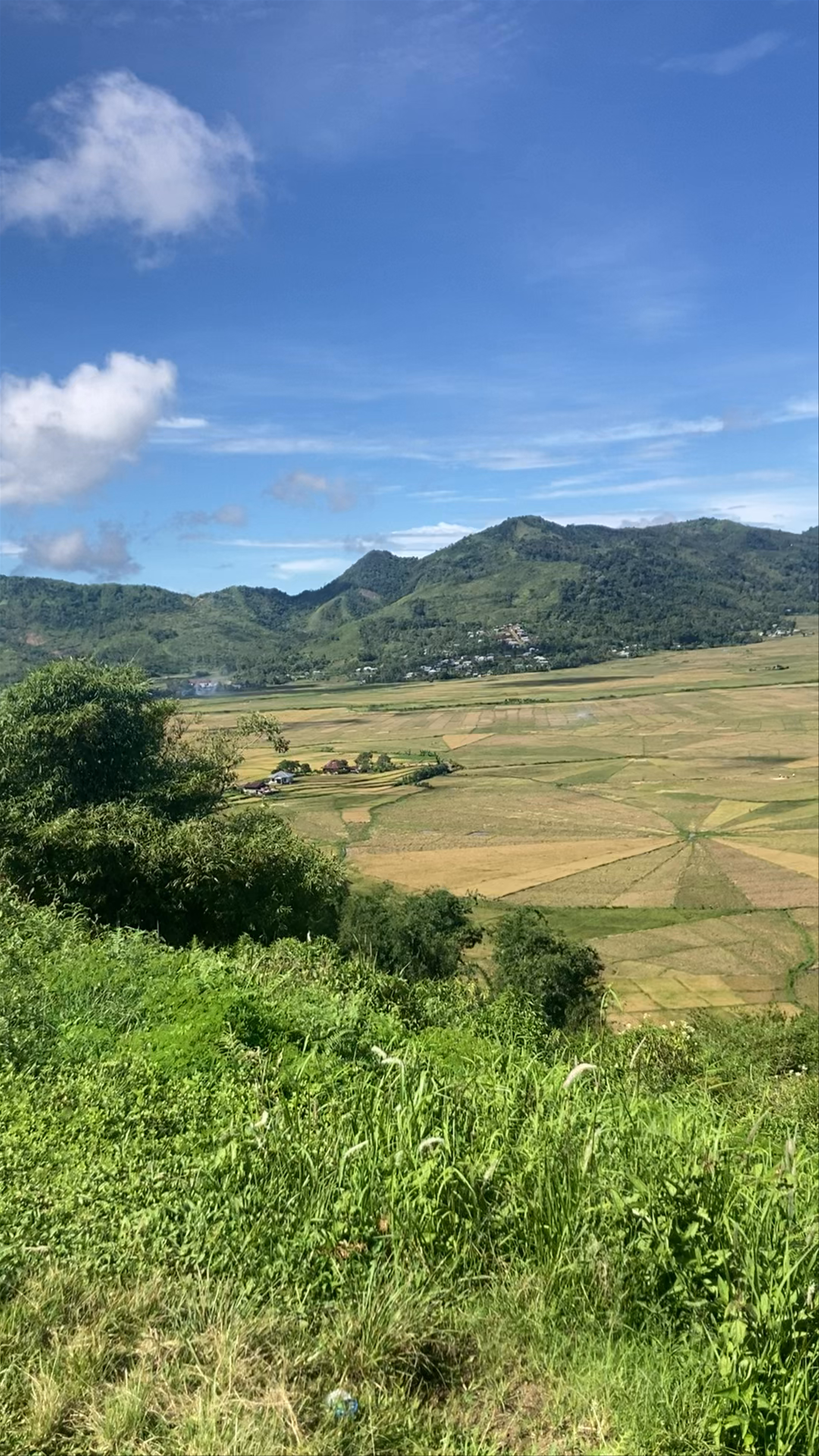 Lingko Spider Web Rice Fields