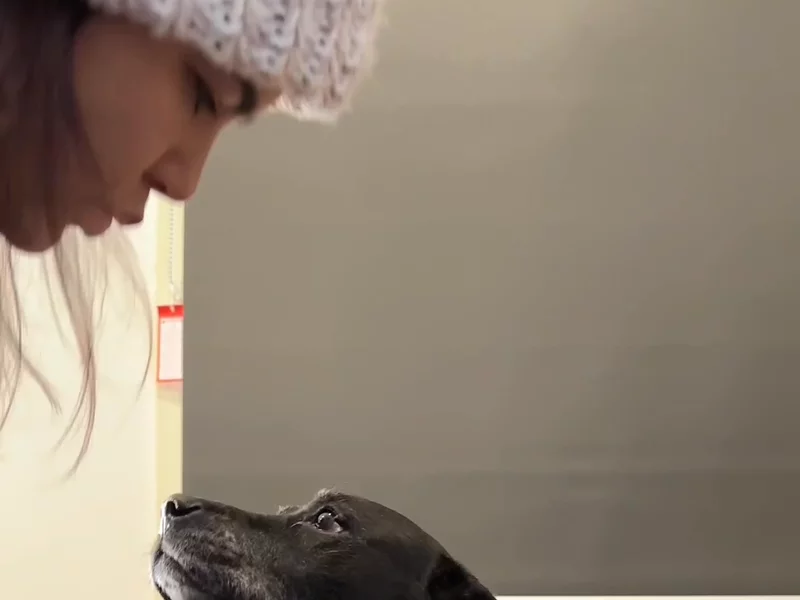 Winter pet tips