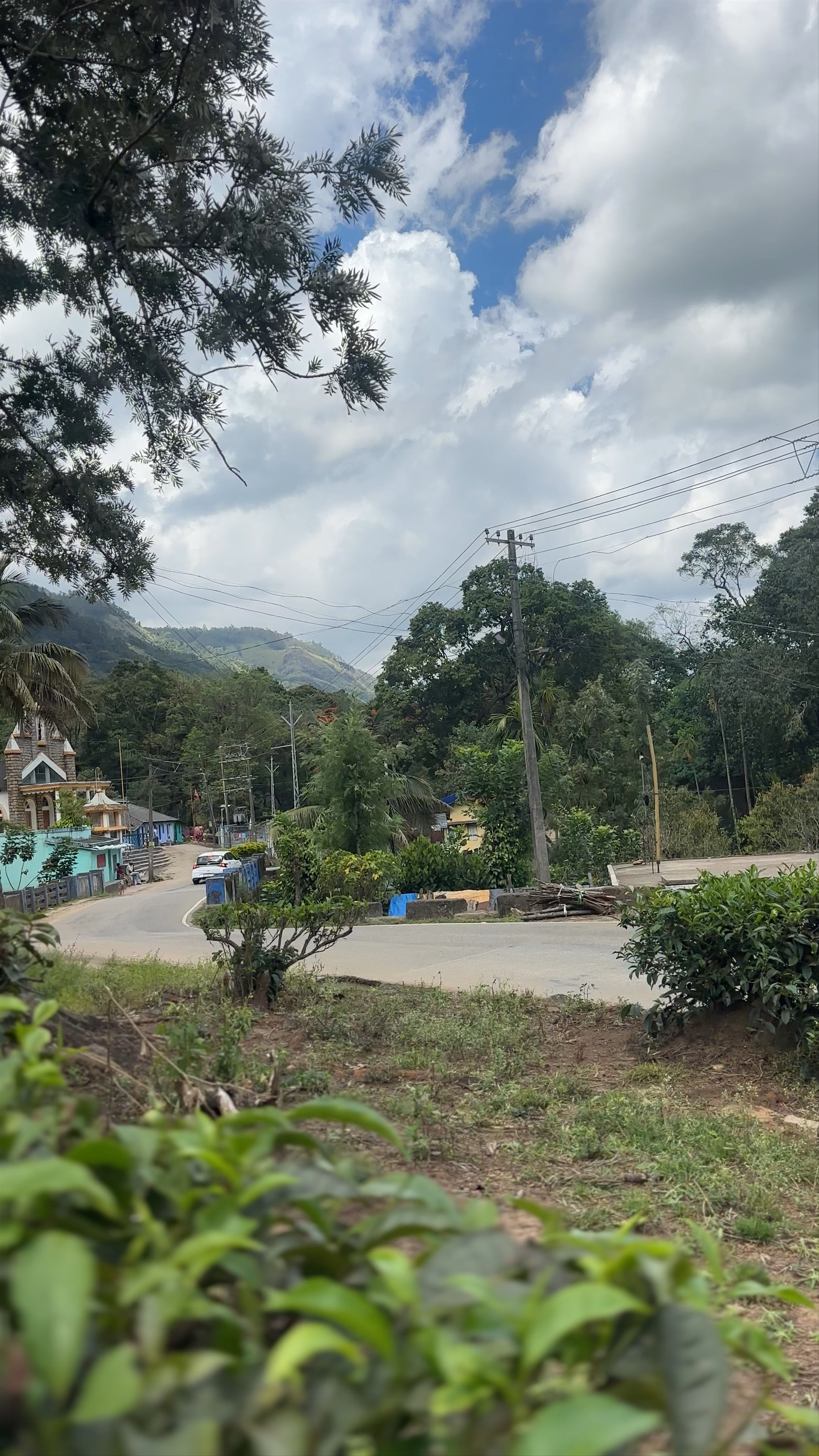 Marayoor Sandalwood Forest