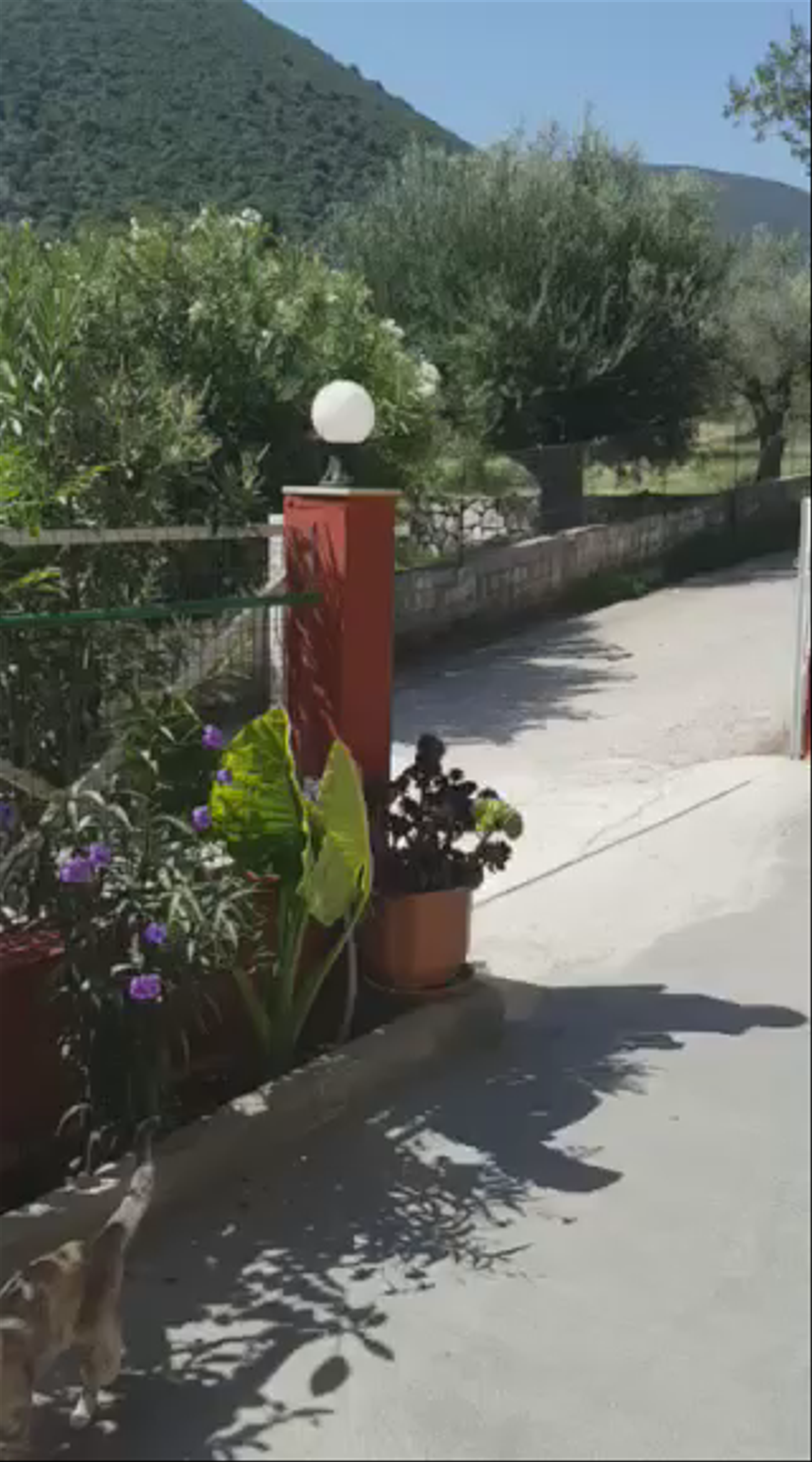 Tranquil Morning in Flamiatos Garden Cottages, Poulata, Greece
