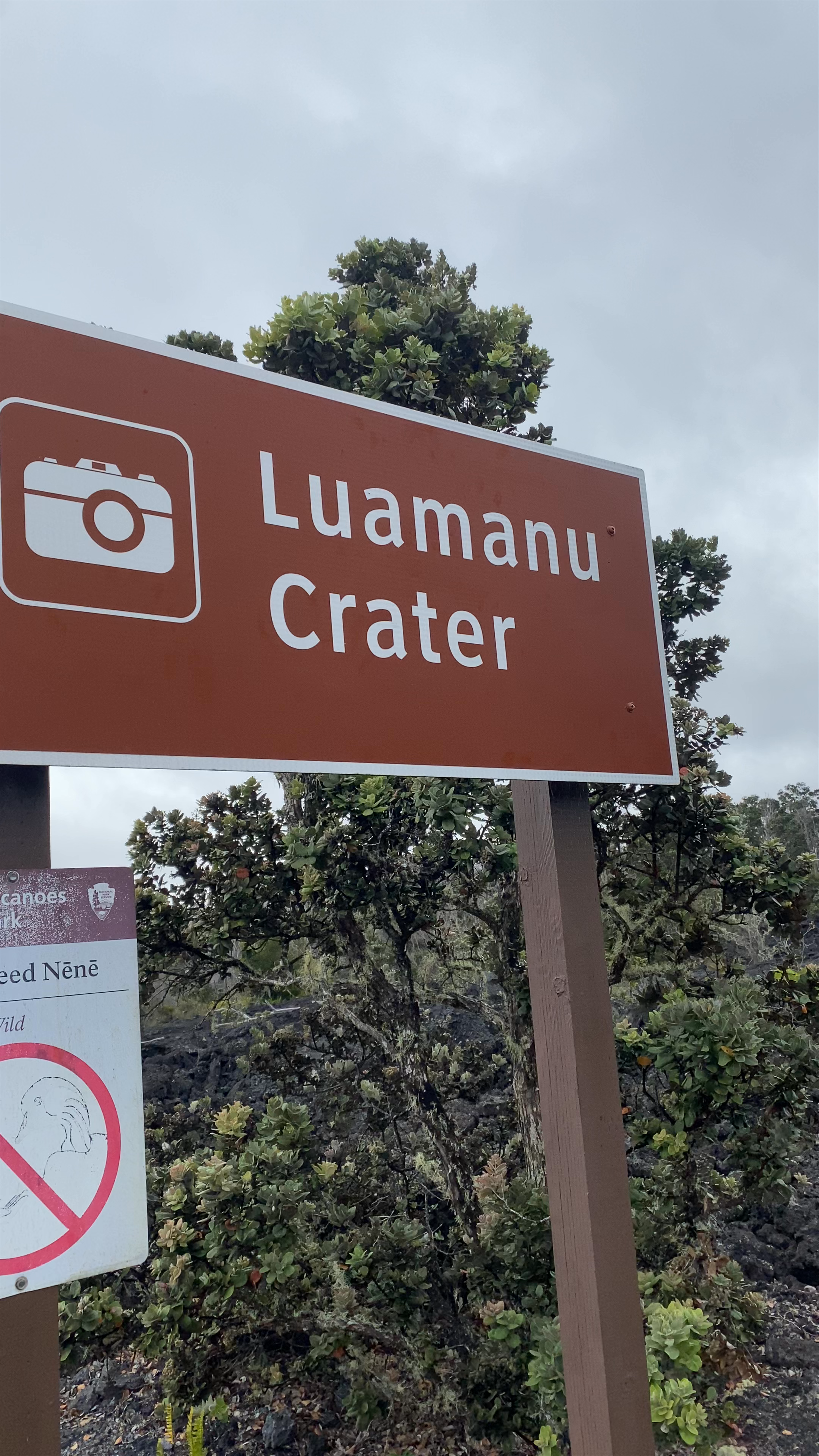 Luamanu Crater