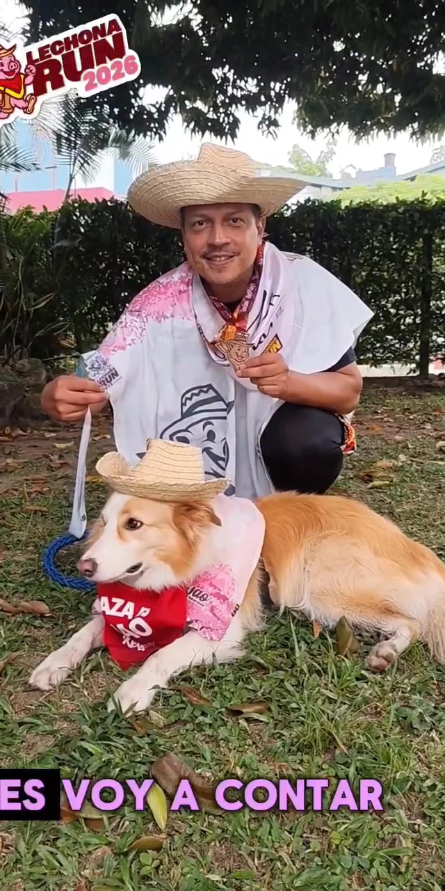 Contenido del creador