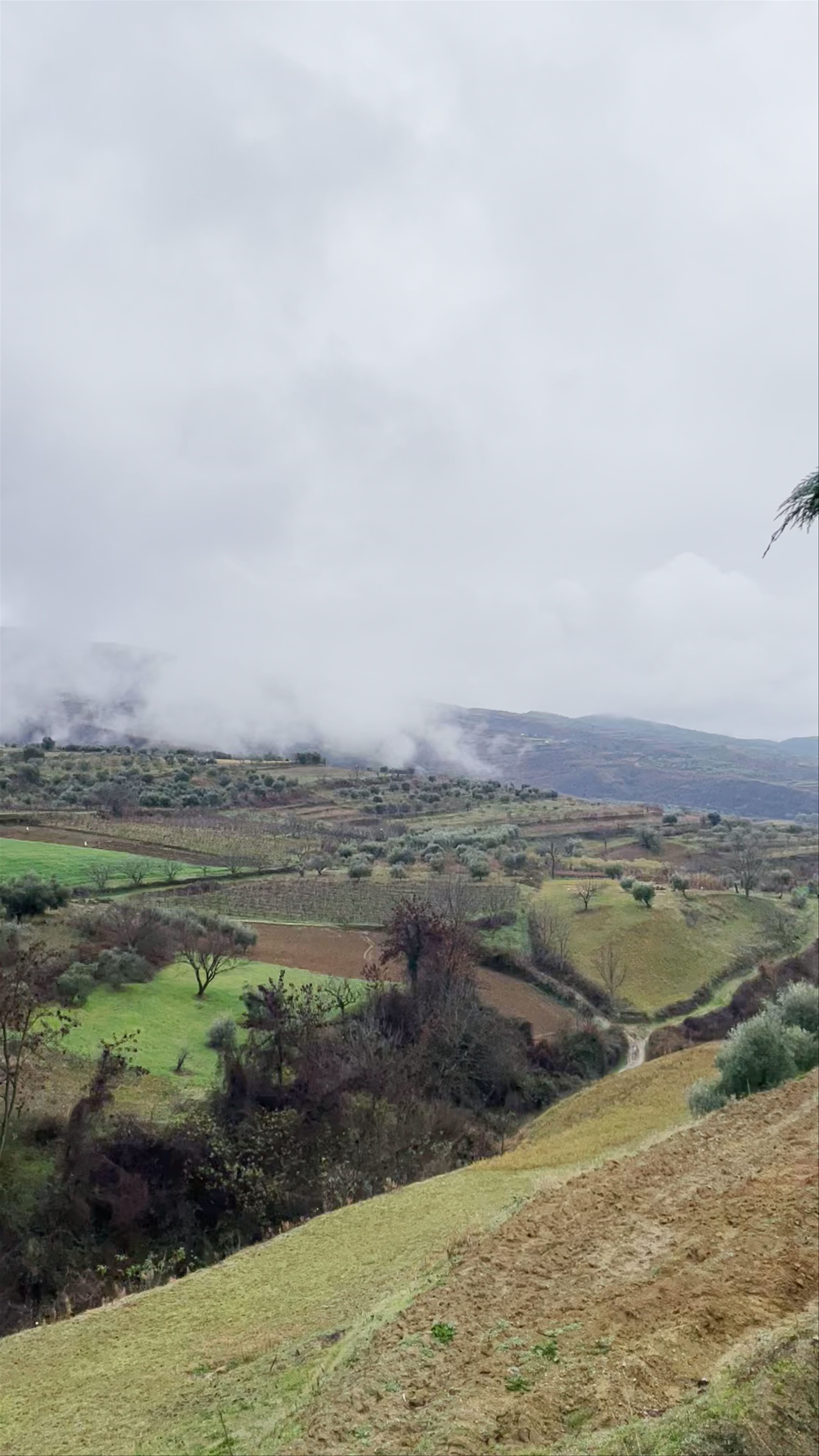 Alpeta Agrotourism & Winery (Alpeta Agroturizem)