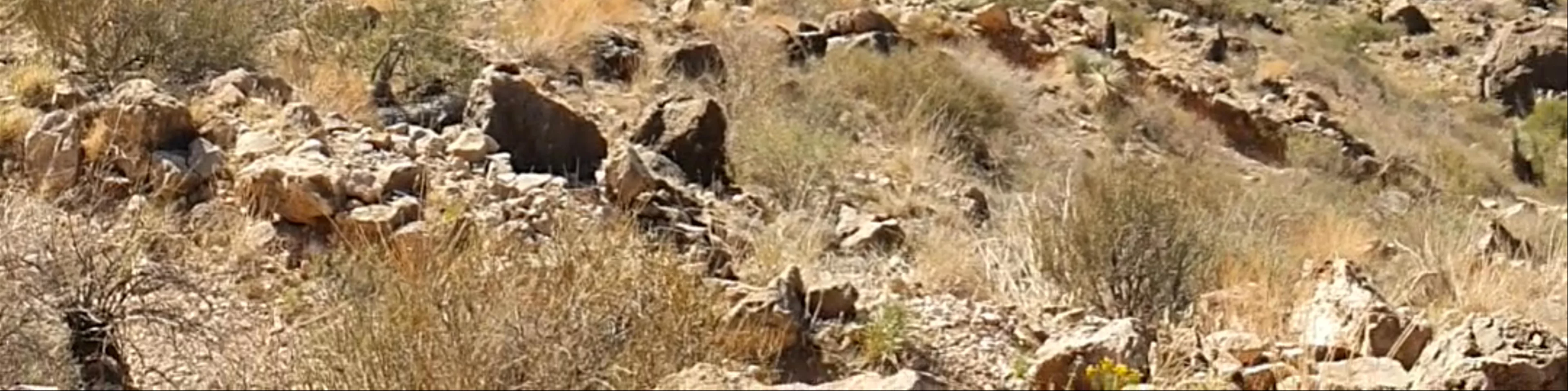 Hermit Trail