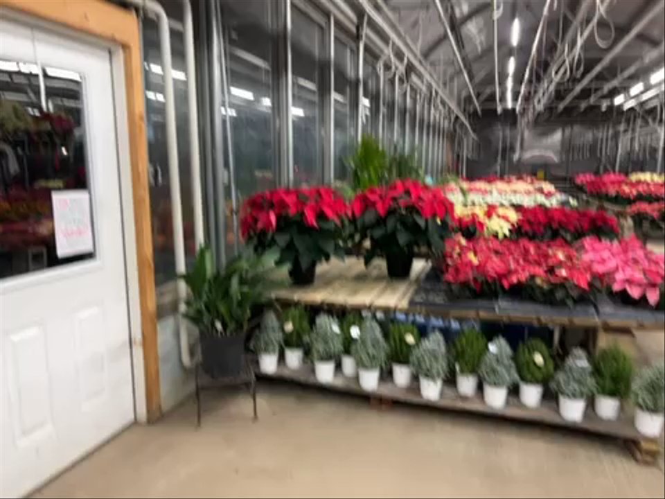 The Garden - Nurseries & Gardening Near Me - Woodbury, Connecticut