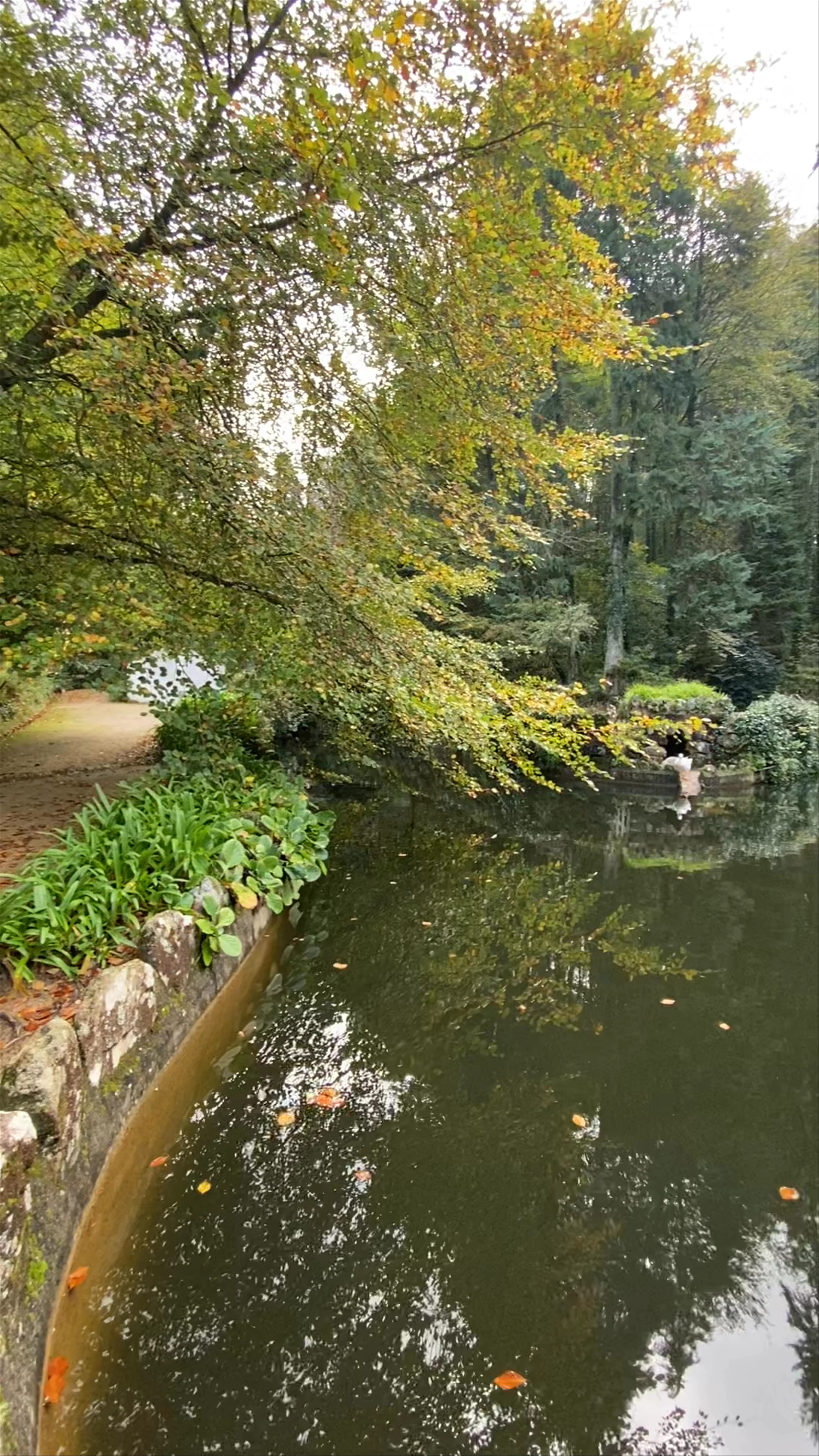 Sintra Gardens, Estrada Principal, São João das Lampas, Portugal