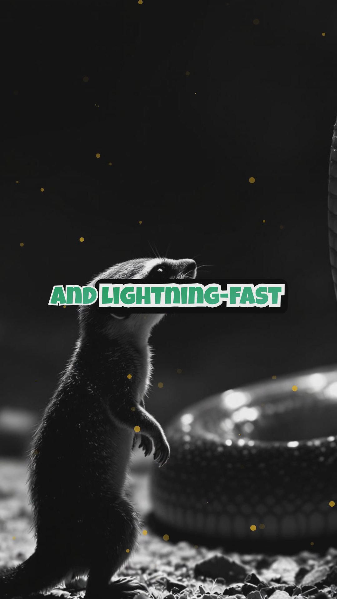 Mysterious Mongoose: Bold Moves and Surprising Facts