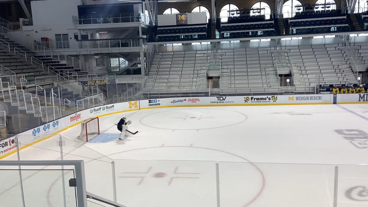 Michigan 2008 showcase