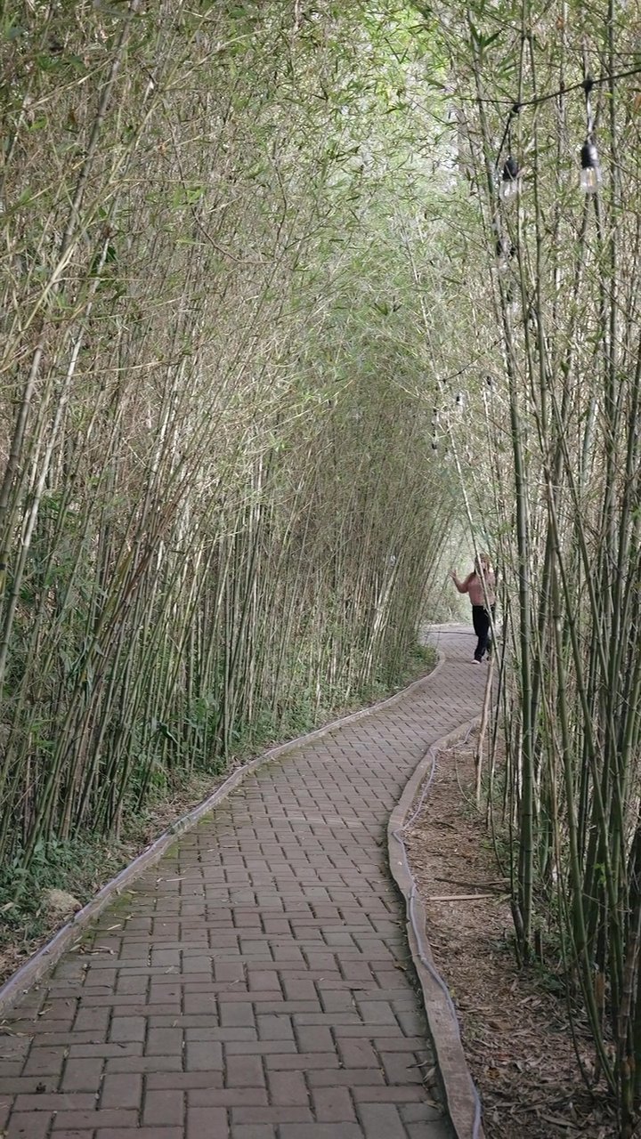 お疲れさま
🎥 Airam Dato-on · Pexels
#癒し #リラックス #自然 #relax #healing