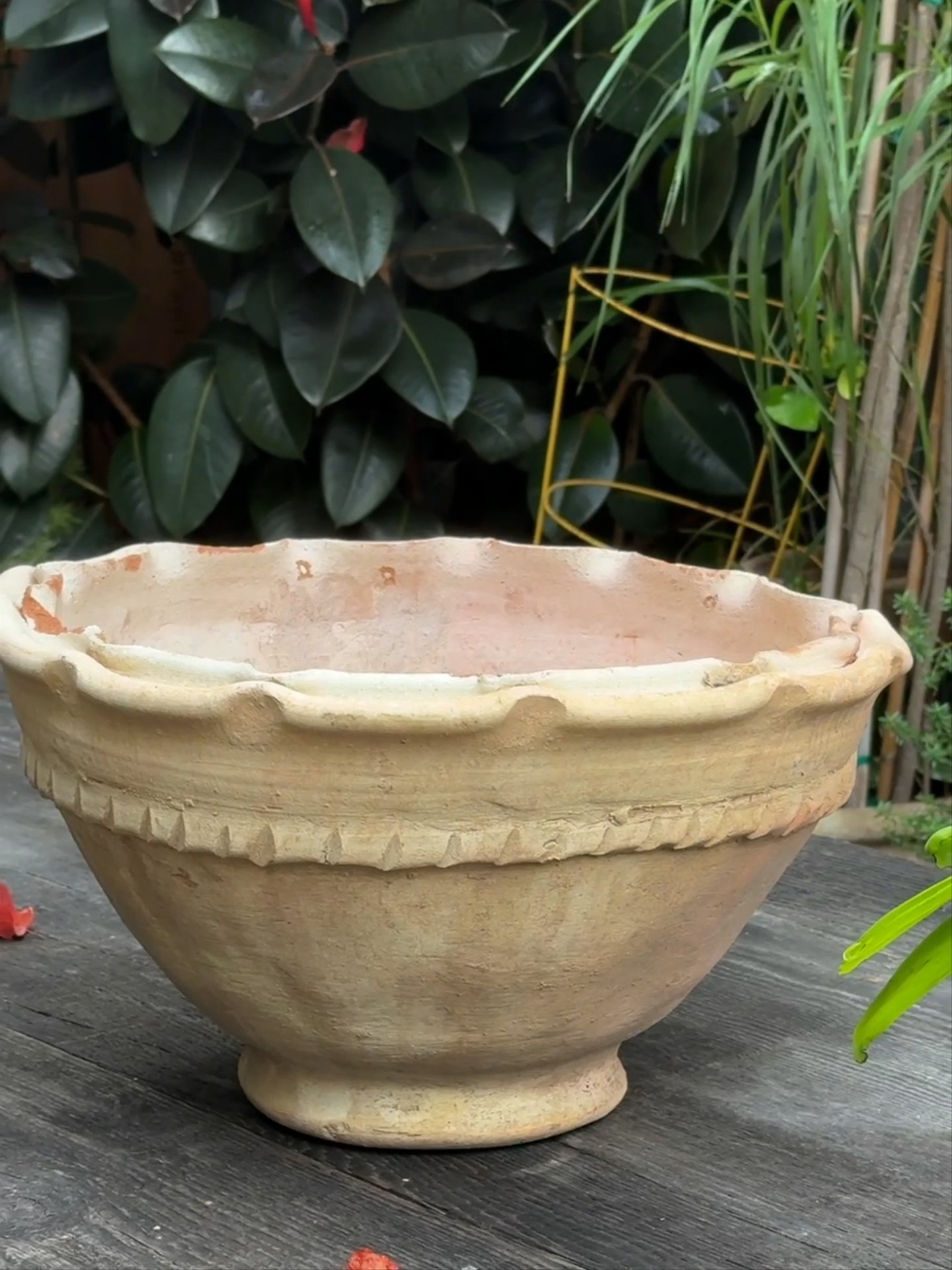 The Scallop Planter