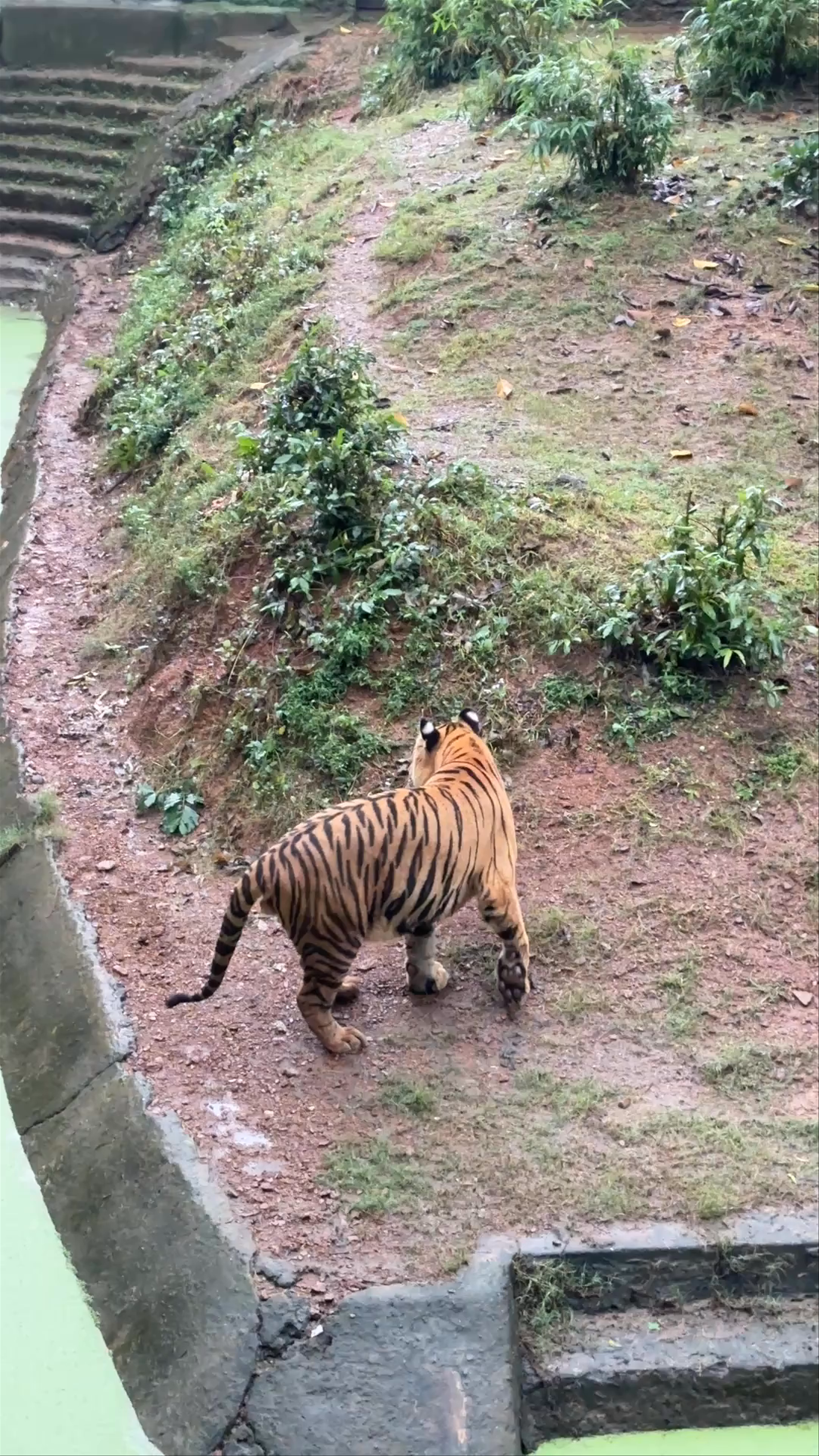 Nandankanan Zoological Park