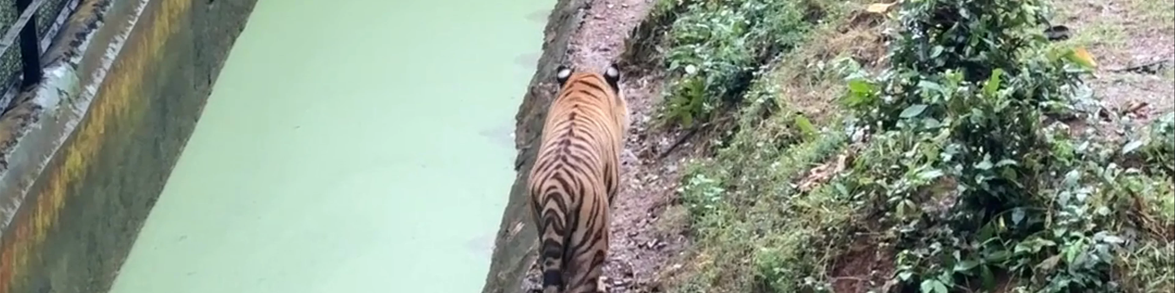Nandankanan Zoological Park