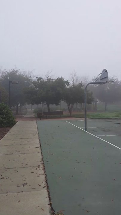 Edgar Thoming Park - Foggy tuesday morning - Parks Near Me - Tracy, California