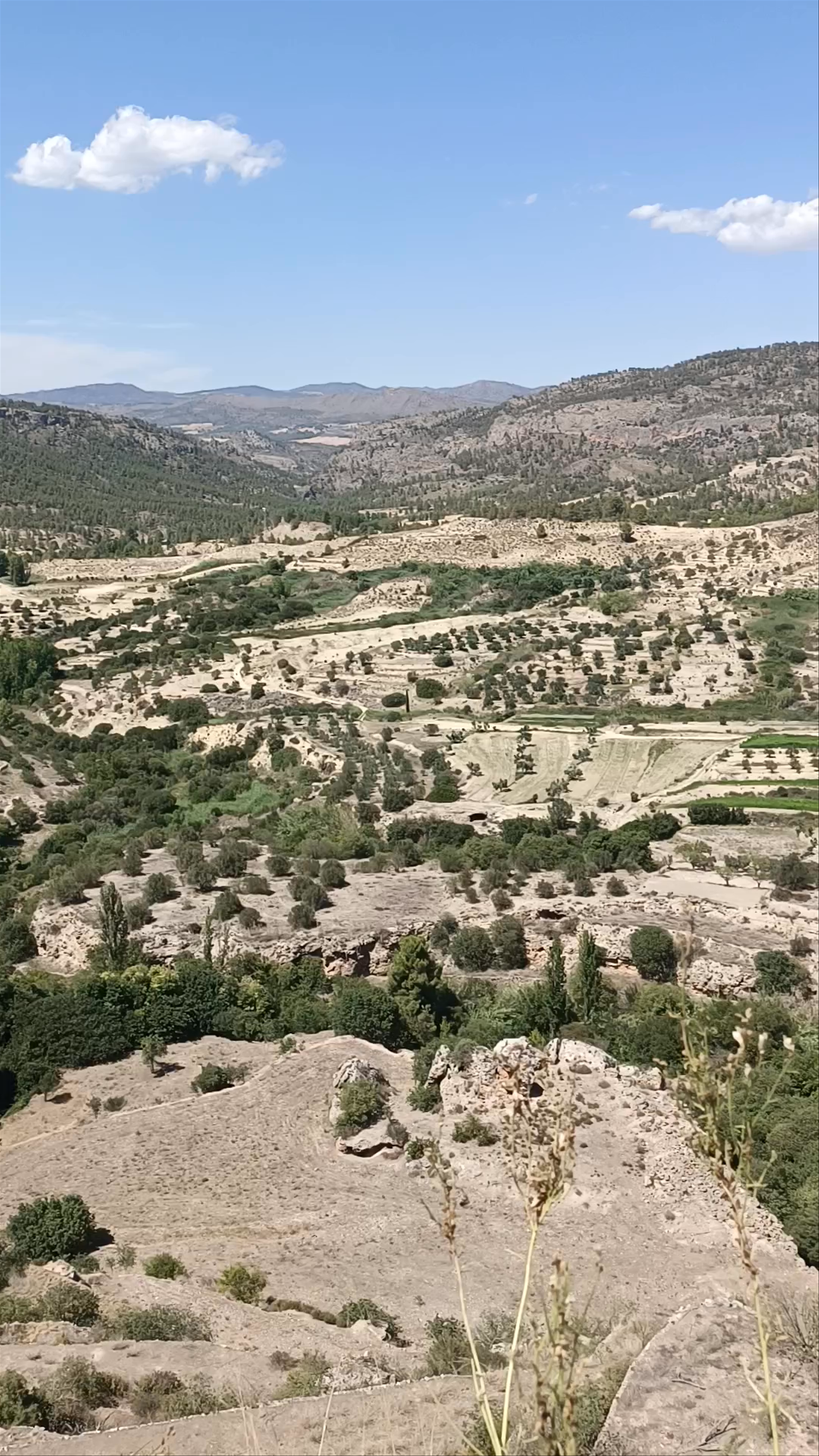 Aloha Letur: Scenic Views and Vibrant Outdoor Dining in Castilla-La Mancha