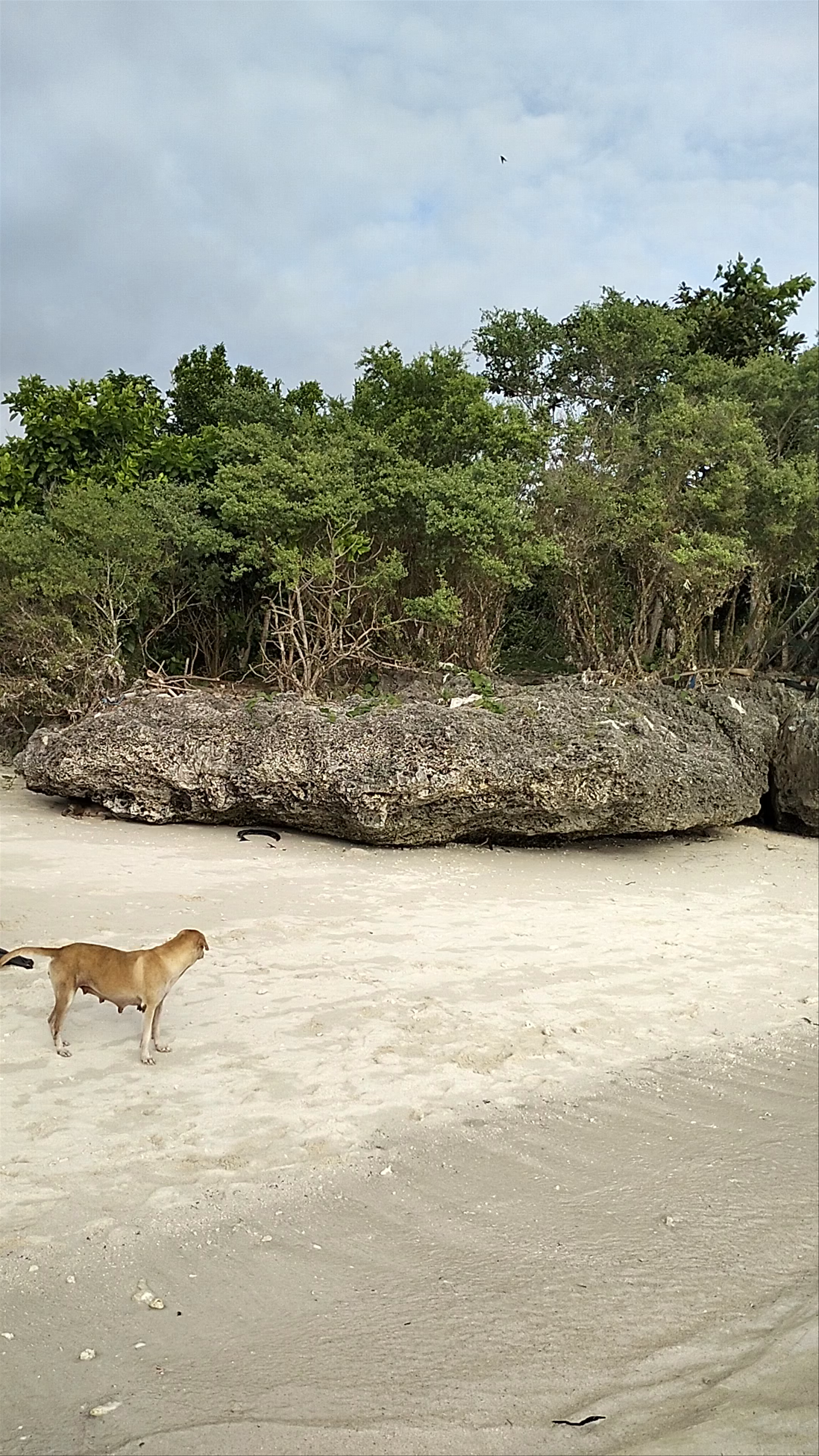 Mervi Beach: Serene Coastal Escape in San Juan, Siquijor