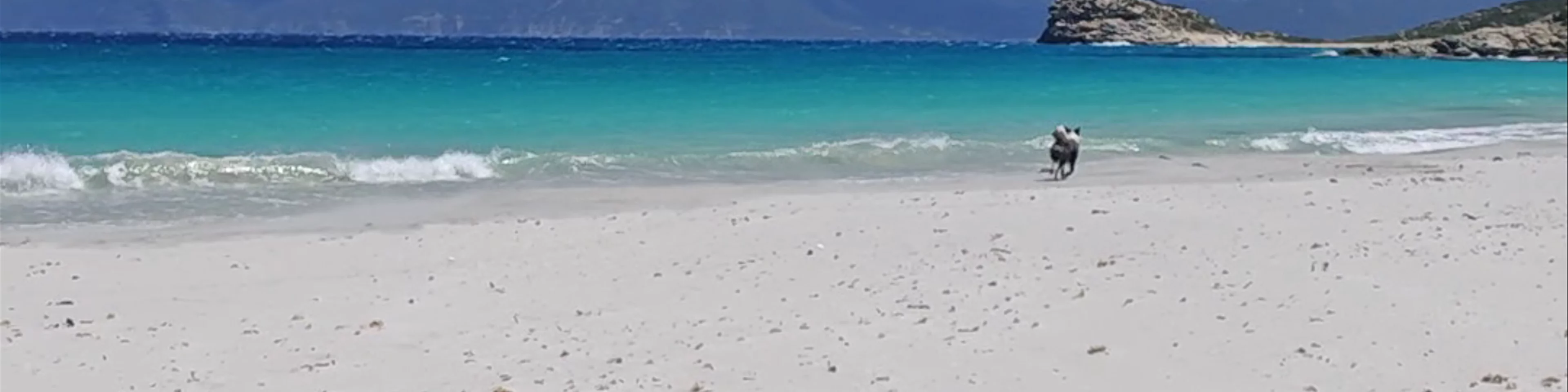 Plage du Lotu