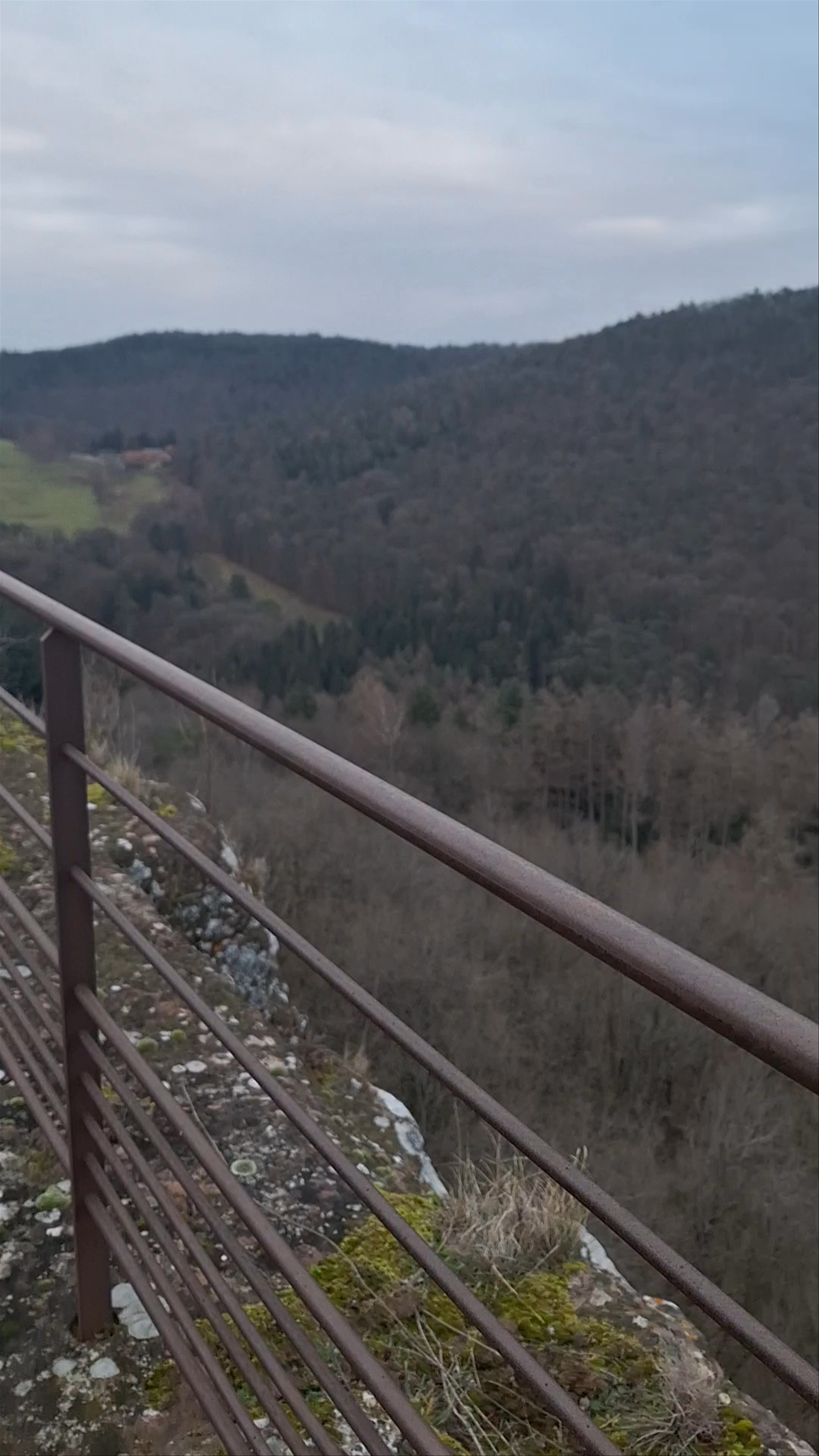 Château de Fleckenstein