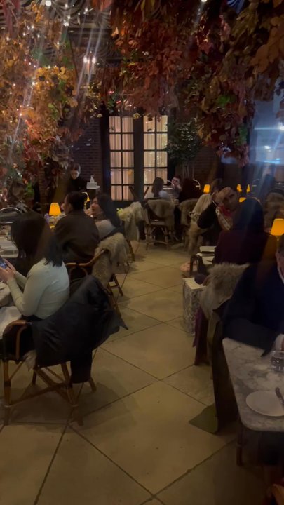 Dalloway Terrace - Cocktail Bars Near Me - London, XGL