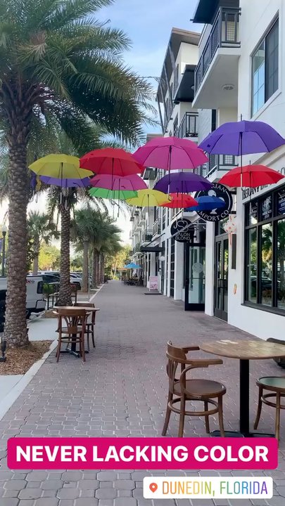 Iberian Import Co - What an entrance! - Jewelry Near Me - Dunedin, Florida