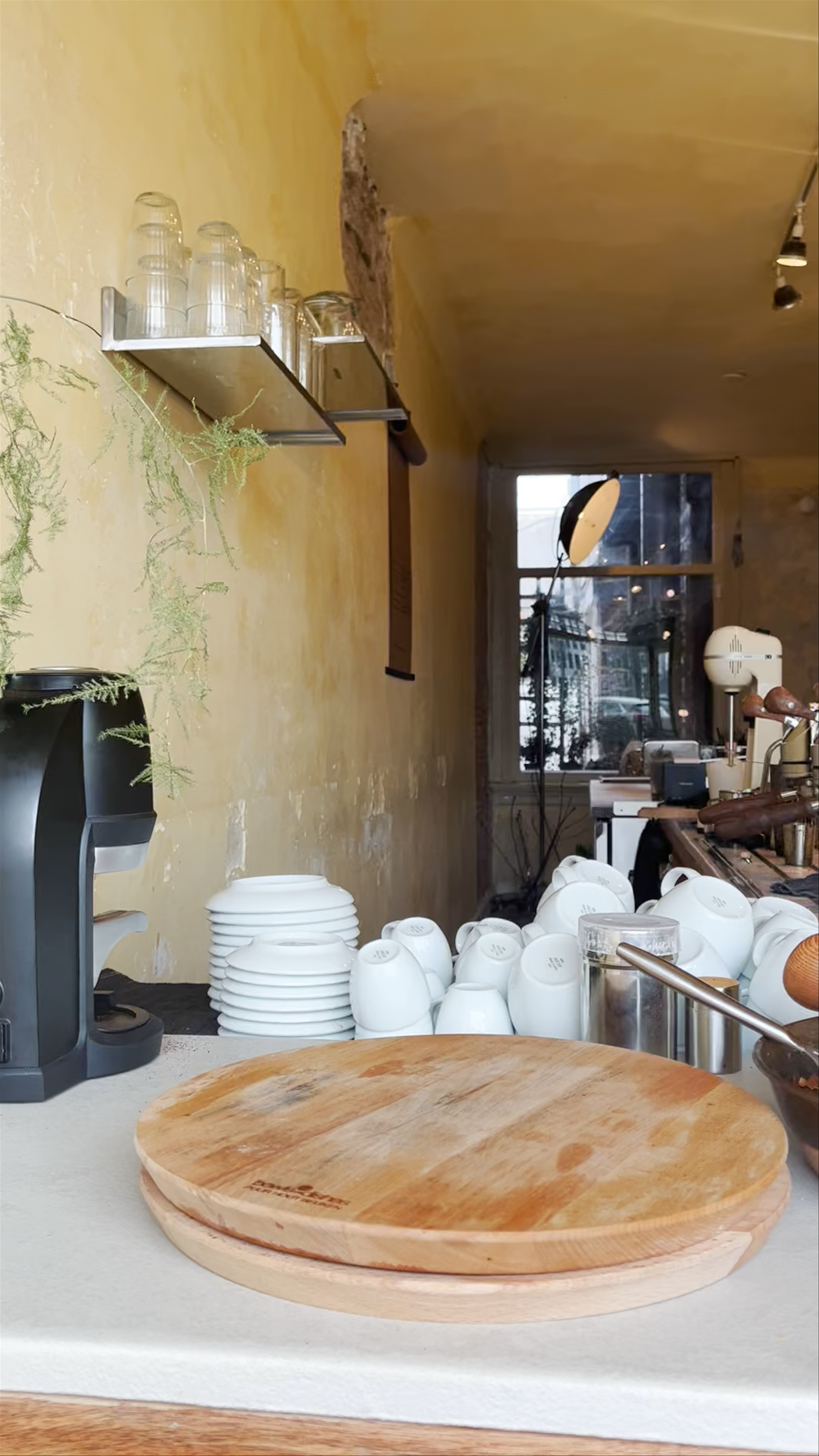 Alpha Coffee Amsterdam: A Cozy Artisan Coffee Haven